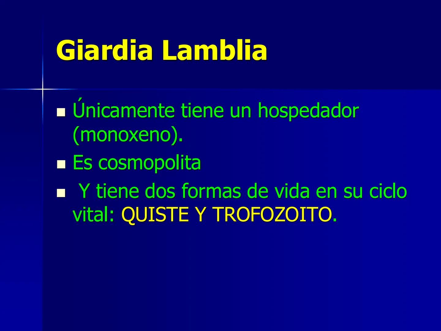 # Protozoarios
100 μm # Protozoarios
■ Son unicelulares pertenecientes al Reino Protista,
subreino Protozoa.
* Eucariotas, microscopico