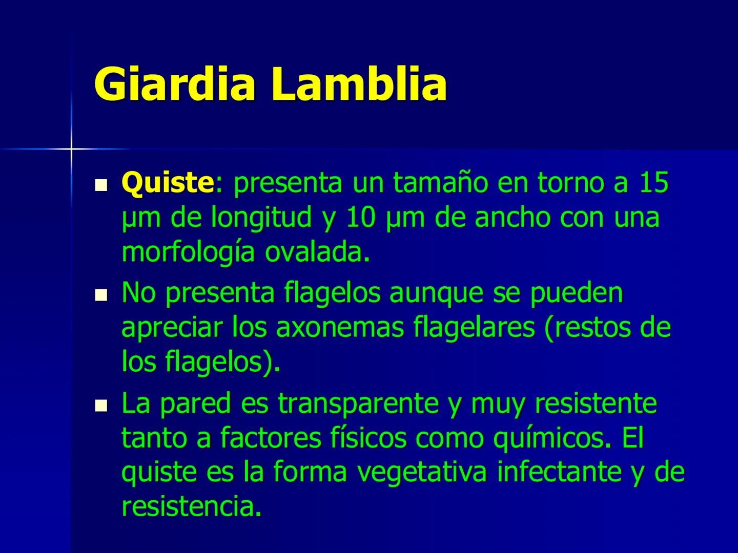 # Protozoarios
100 μm # Protozoarios
■ Son unicelulares pertenecientes al Reino Protista,
subreino Protozoa.
* Eucariotas, microscopico