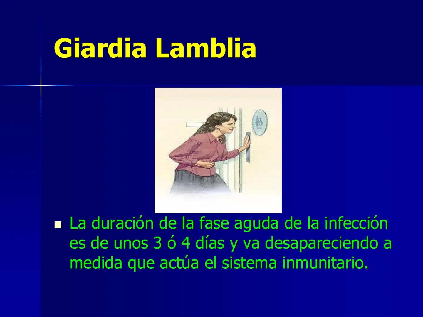 # Protozoarios
100 μm # Protozoarios
■ Son unicelulares pertenecientes al Reino Protista,
subreino Protozoa.
* Eucariotas, microscopico