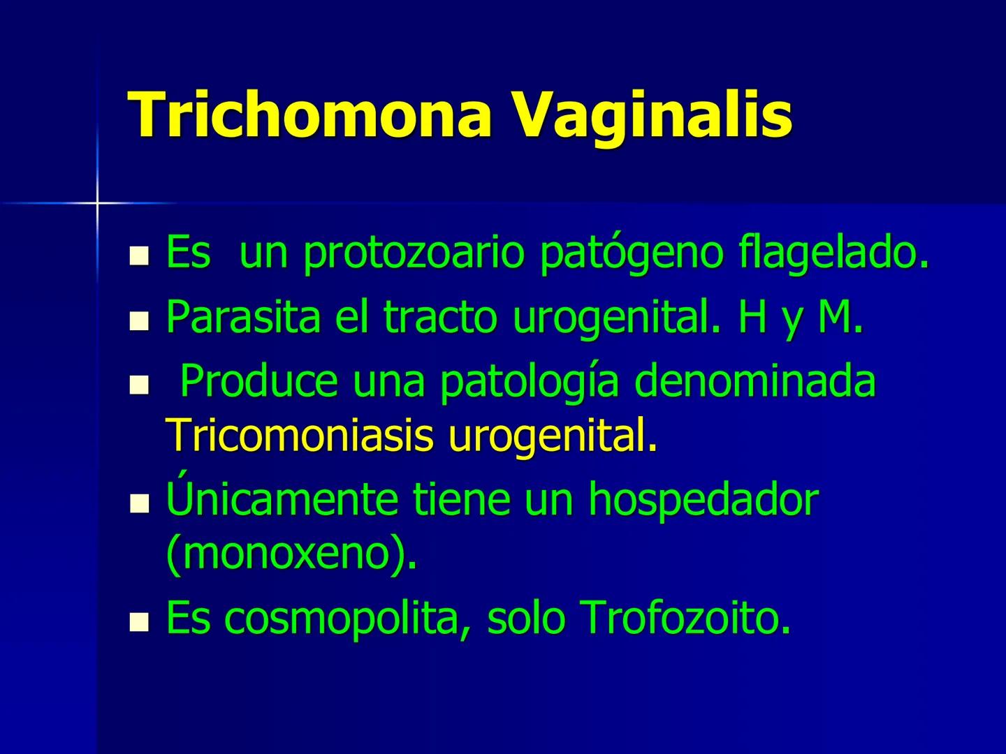 # Protozoarios
100 μm # Protozoarios
■ Son unicelulares pertenecientes al Reino Protista,
subreino Protozoa.
* Eucariotas, microscopico