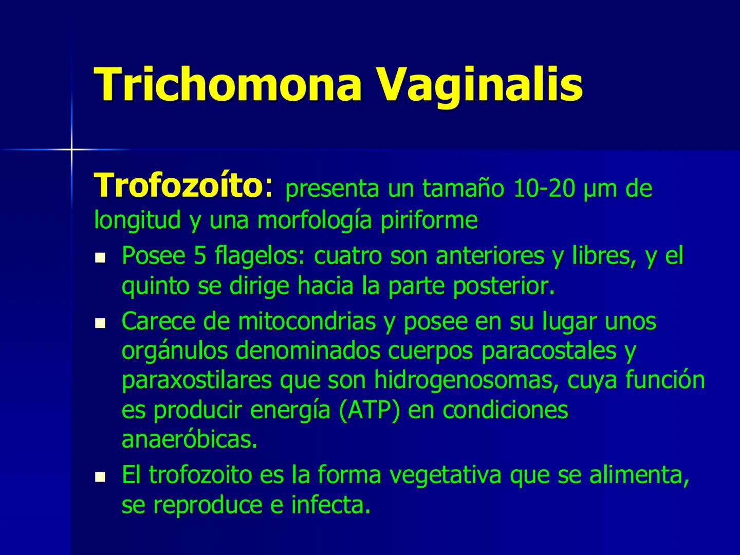 # Protozoarios
100 μm # Protozoarios
■ Son unicelulares pertenecientes al Reino Protista,
subreino Protozoa.
* Eucariotas, microscopico