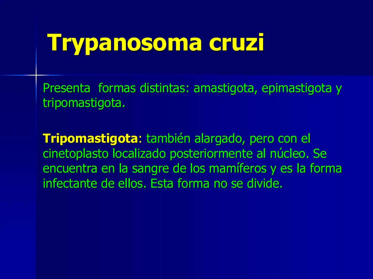 # Protozoarios
100 μm # Protozoarios
■ Son unicelulares pertenecientes al Reino Protista,
subreino Protozoa.
* Eucariotas, microscopico