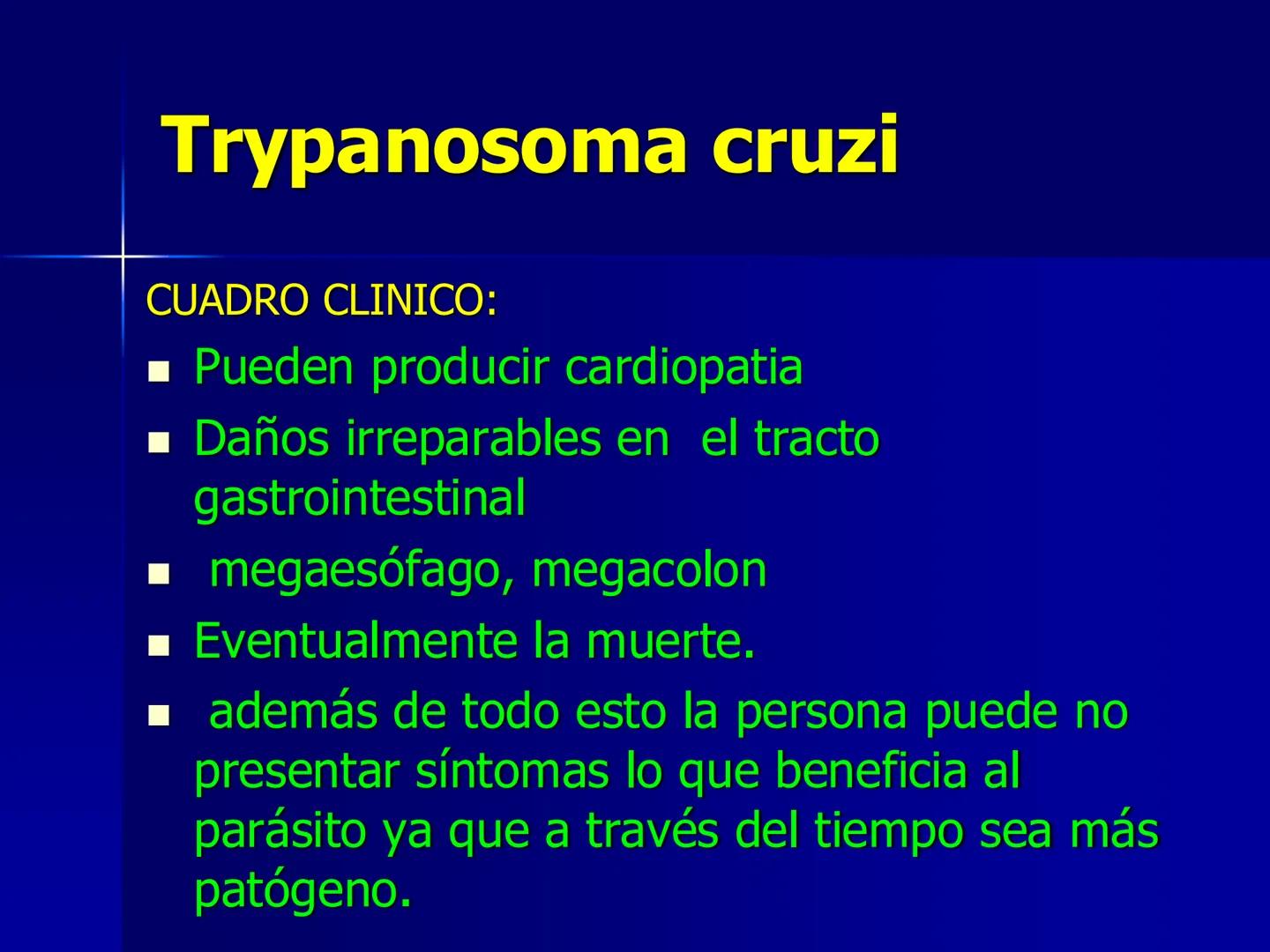 # Protozoarios
100 μm # Protozoarios
■ Son unicelulares pertenecientes al Reino Protista,
subreino Protozoa.
* Eucariotas, microscopico