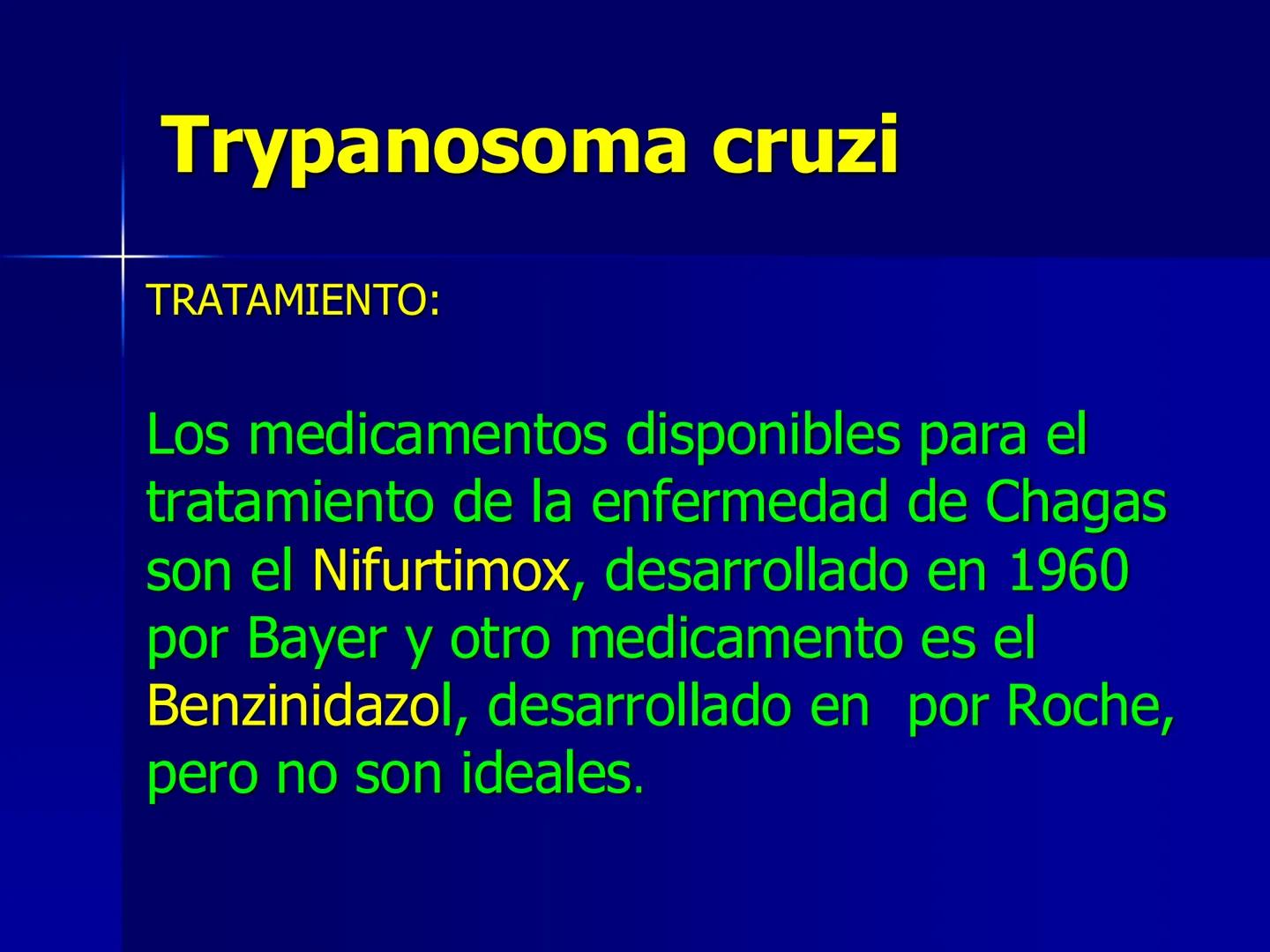 # Protozoarios
100 μm # Protozoarios
■ Son unicelulares pertenecientes al Reino Protista,
subreino Protozoa.
* Eucariotas, microscopico