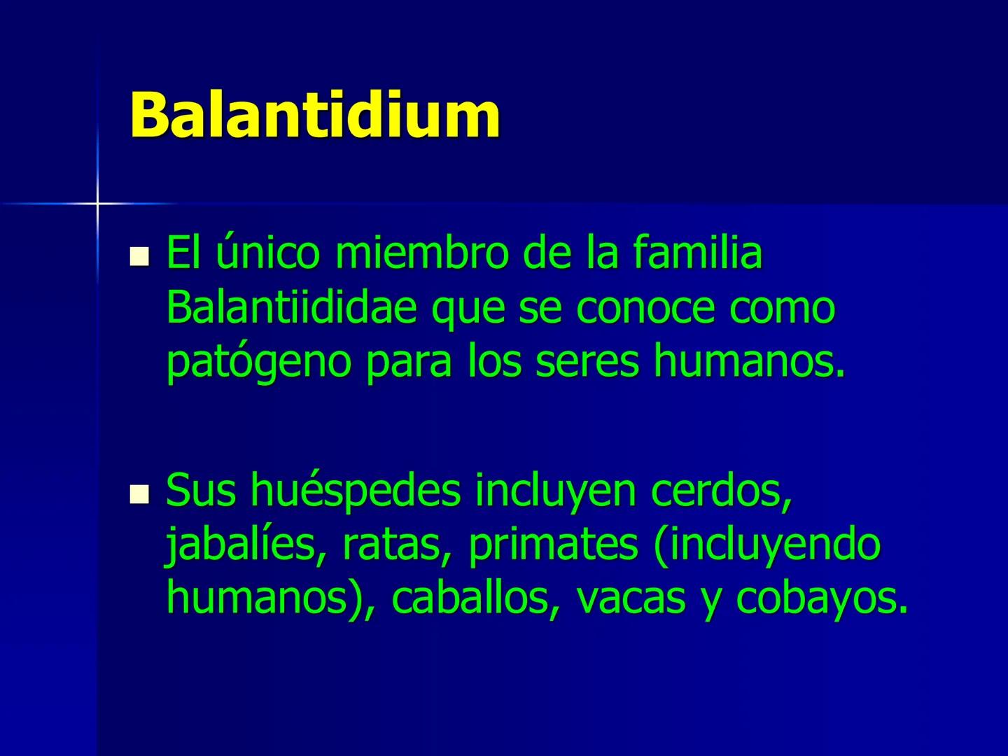 # Protozoarios
100 μm # Protozoarios
■ Son unicelulares pertenecientes al Reino Protista,
subreino Protozoa.
* Eucariotas, microscopico