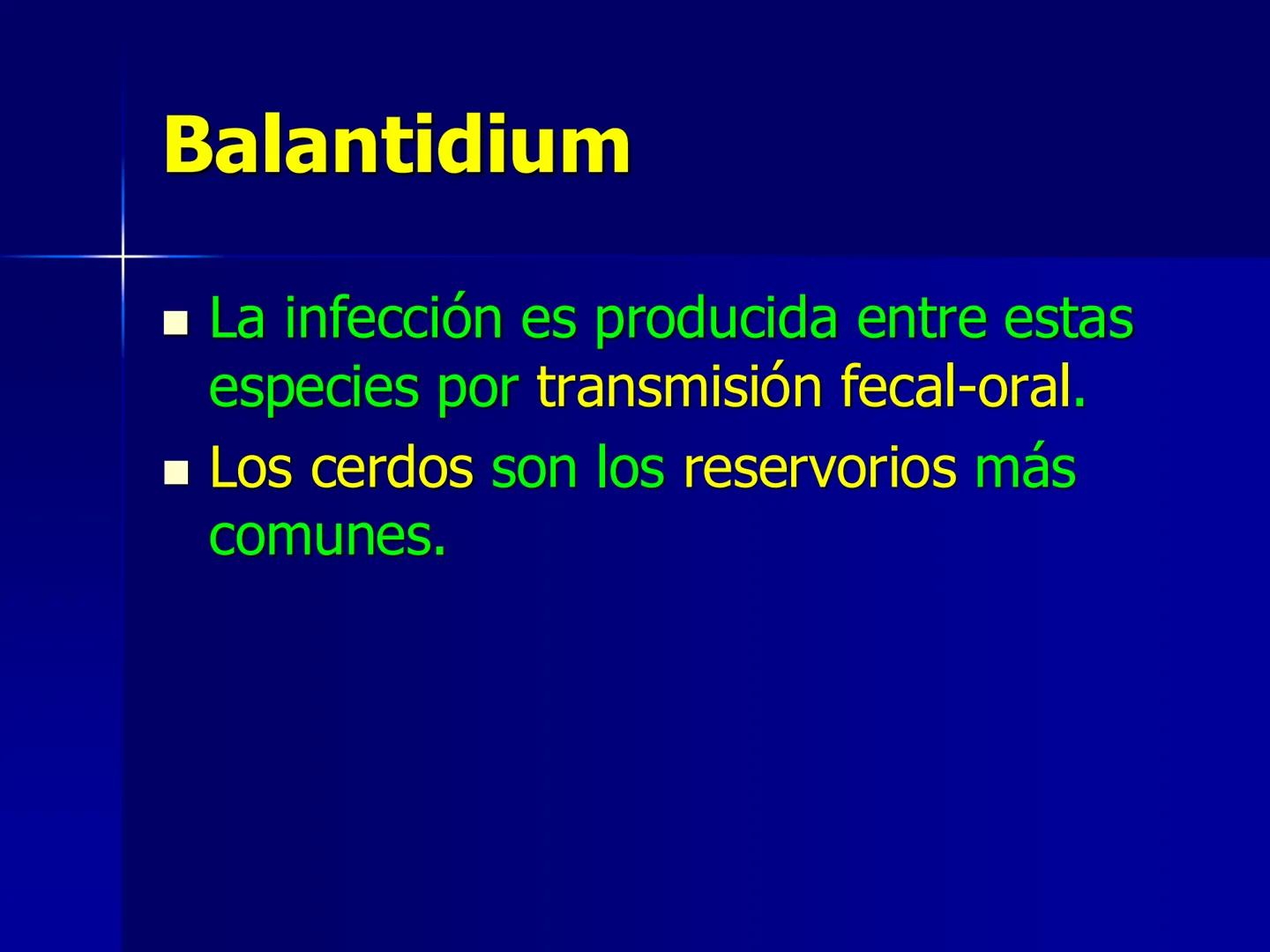 # Protozoarios
100 μm # Protozoarios
■ Son unicelulares pertenecientes al Reino Protista,
subreino Protozoa.
* Eucariotas, microscopico