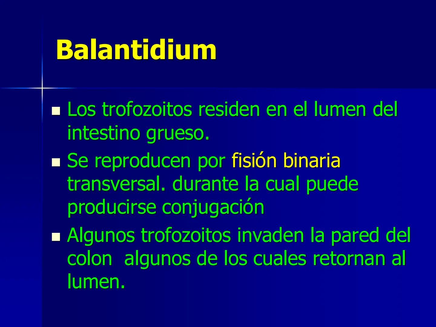 # Protozoarios
100 μm # Protozoarios
■ Son unicelulares pertenecientes al Reino Protista,
subreino Protozoa.
* Eucariotas, microscopico