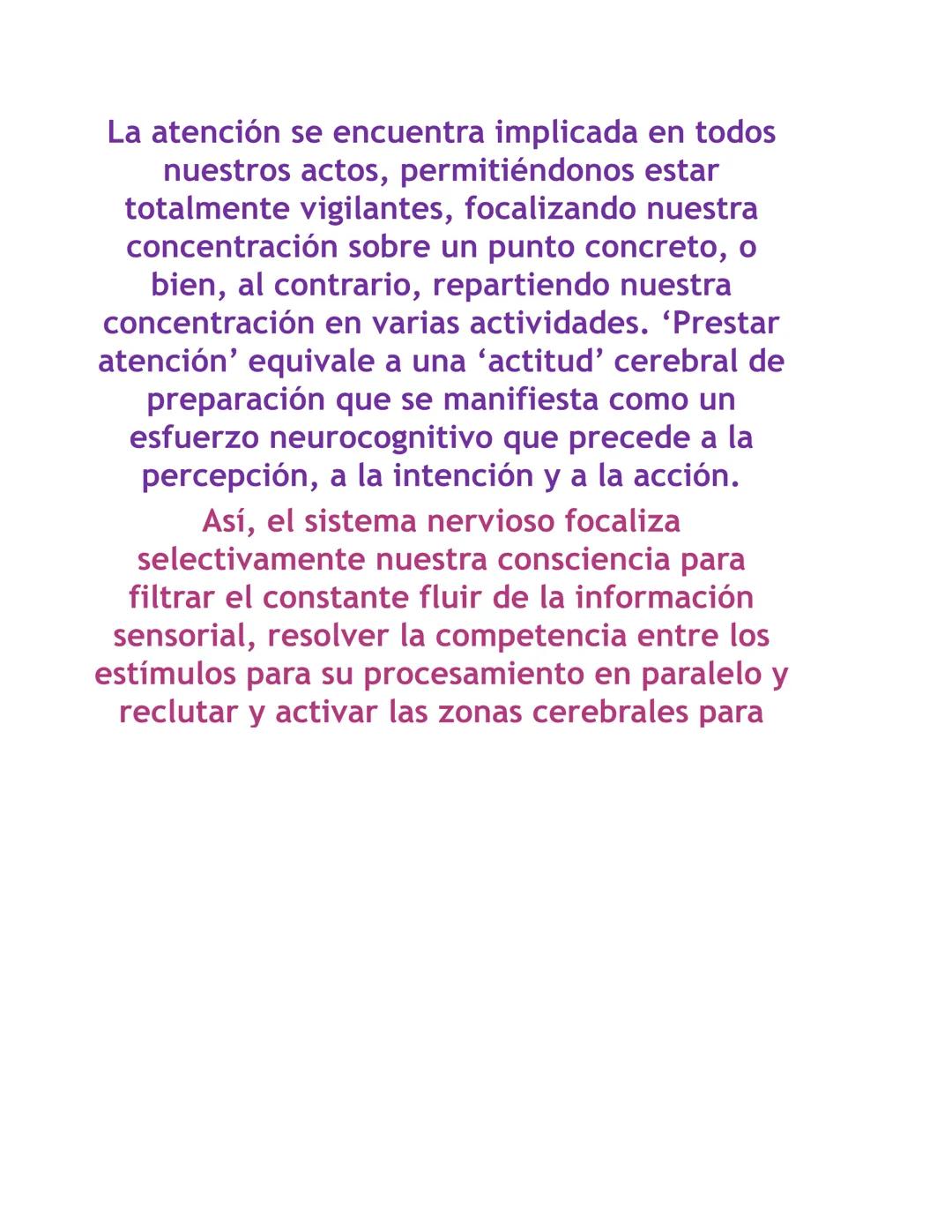 T
R
E
S 2
3
5
6
¿Quién es quién?
Maria y Juan se miran.
Felisa mira a Carlos.
Carlos y Antonio se hacen un guiño.
Las chicas son: Maria, Lu