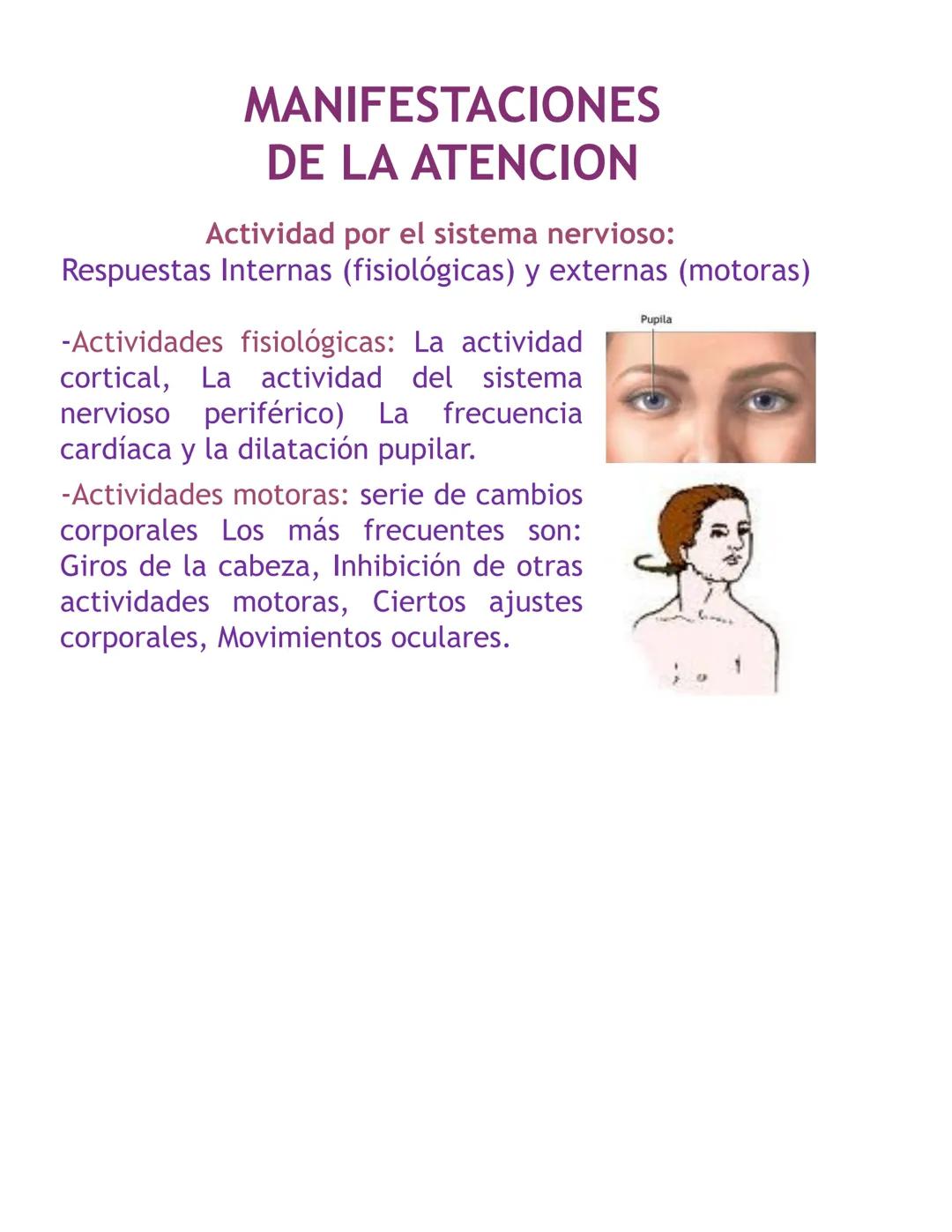 T
R
E
S 2
3
5
6
¿Quién es quién?
Maria y Juan se miran.
Felisa mira a Carlos.
Carlos y Antonio se hacen un guiño.
Las chicas son: Maria, Lu