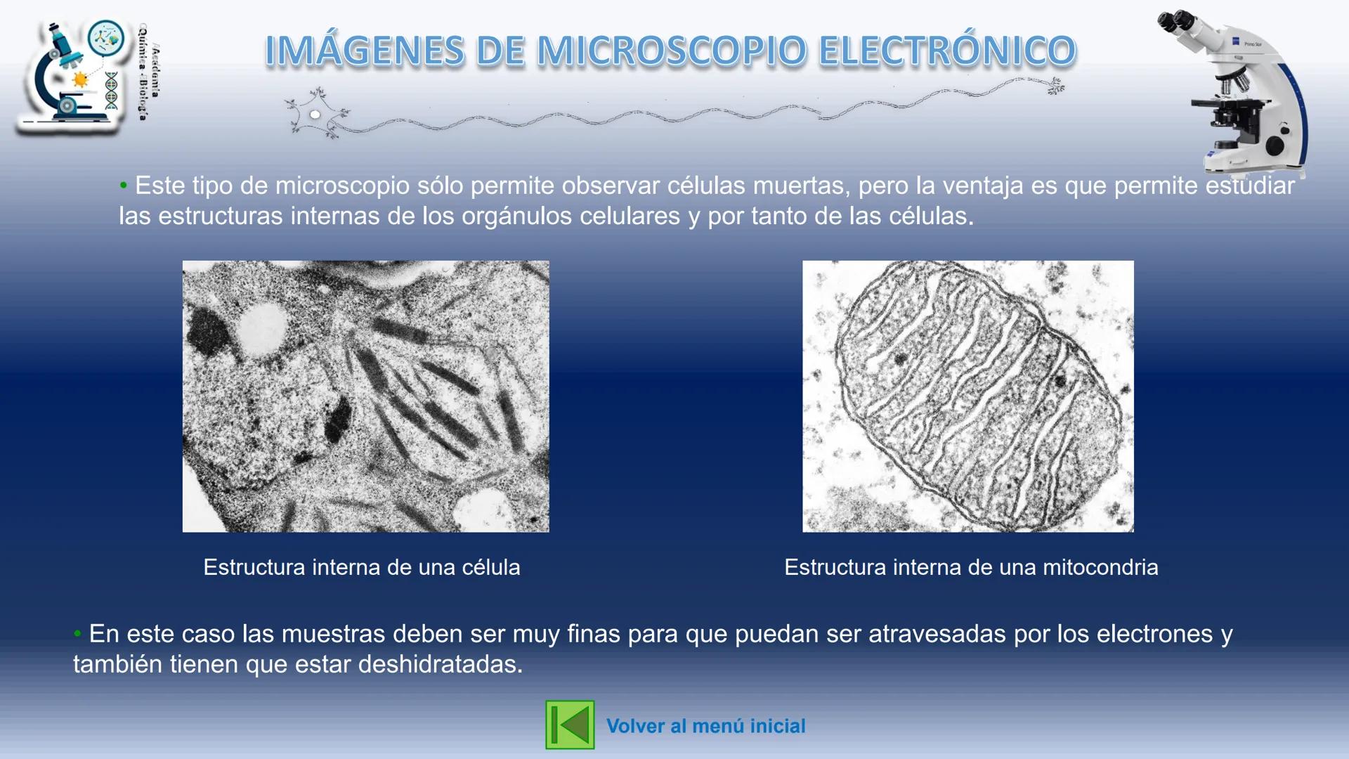 # BIOLOGÍA CELULAR
MICROSCOPÍA
Academia
Química - Biología
ZEINS
Primo Star
BIOL. VIRGINIA OJEDA CONEJO
BIOL. GERMÁN HERNÁNDEZ ROMERO #