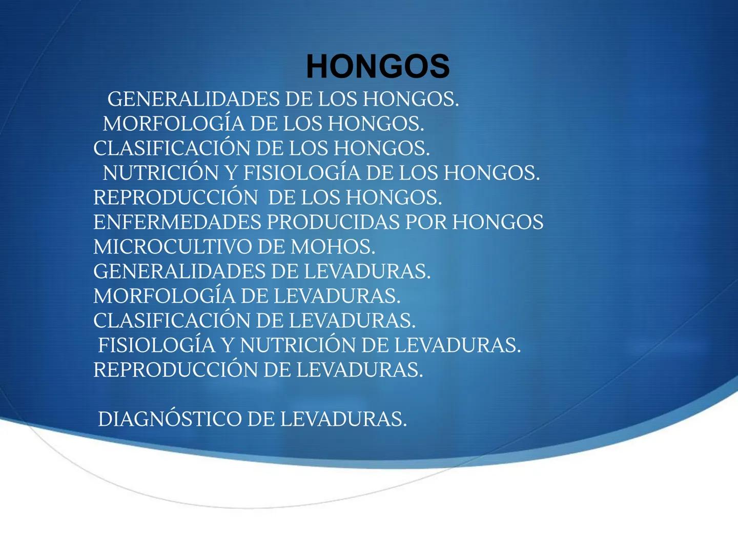 HONGOS
GENERALIDADES DE LOS HONGOS.
MORFOLOGÍA DE LOS HONGOS.
CLASIFICACIÓN DE LOS HONGOS.
NUTRICIÓN Y FISIOLOGÍA DE LOS HONGOS.
REPRODUCCIÓ