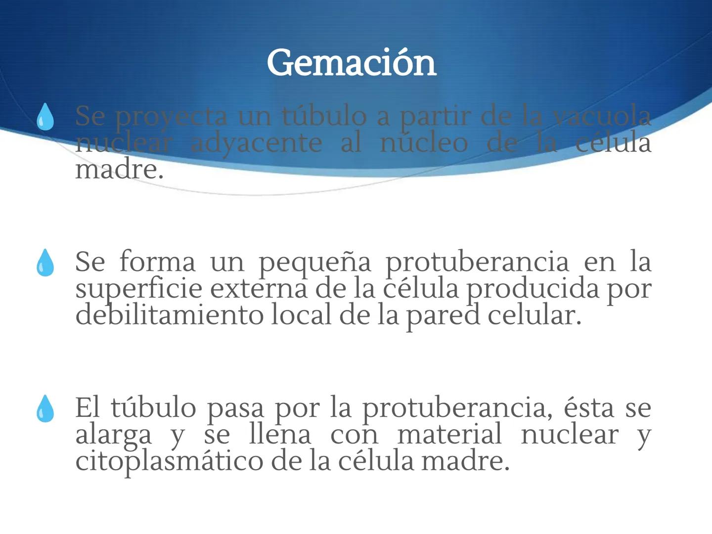HONGOS
GENERALIDADES DE LOS HONGOS.
MORFOLOGÍA DE LOS HONGOS.
CLASIFICACIÓN DE LOS HONGOS.
NUTRICIÓN Y FISIOLOGÍA DE LOS HONGOS.
REPRODUCCIÓ