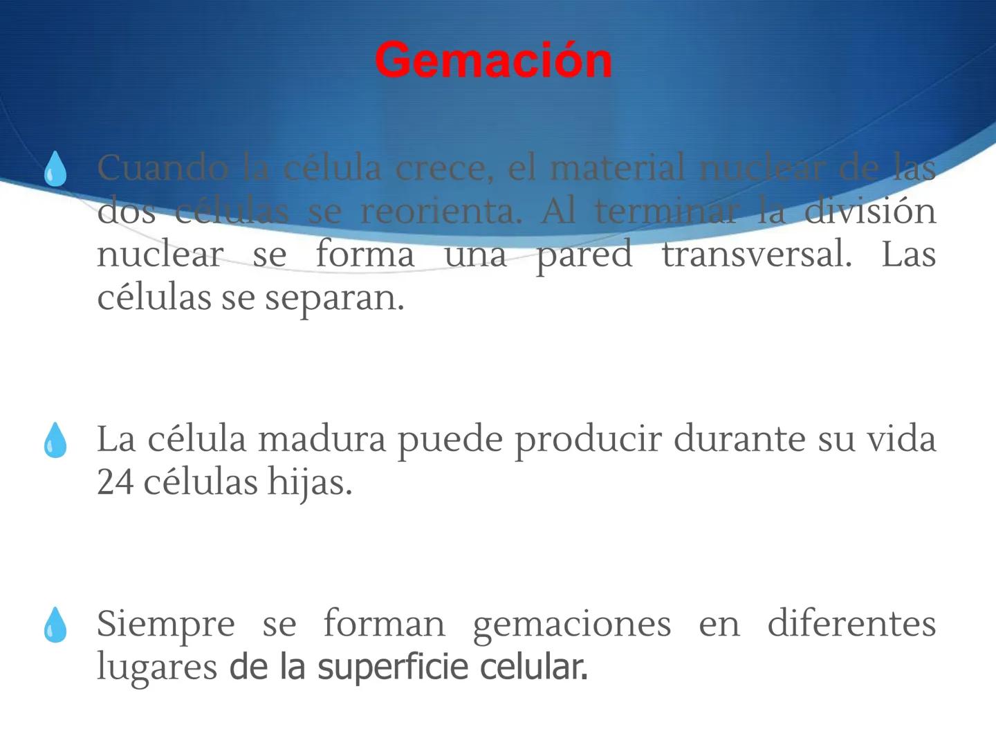 HONGOS
GENERALIDADES DE LOS HONGOS.
MORFOLOGÍA DE LOS HONGOS.
CLASIFICACIÓN DE LOS HONGOS.
NUTRICIÓN Y FISIOLOGÍA DE LOS HONGOS.
REPRODUCCIÓ