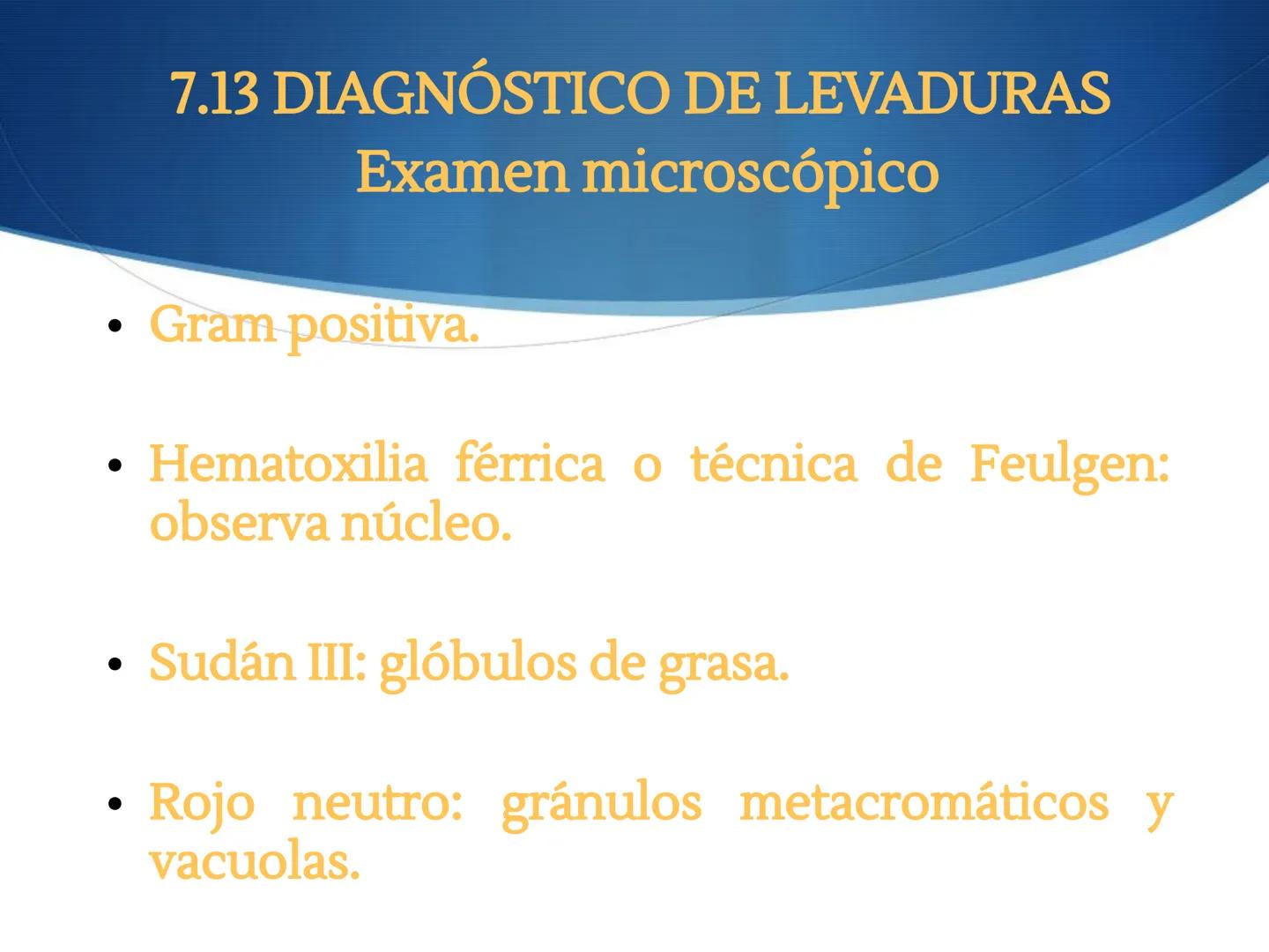 HONGOS
GENERALIDADES DE LOS HONGOS.
MORFOLOGÍA DE LOS HONGOS.
CLASIFICACIÓN DE LOS HONGOS.
NUTRICIÓN Y FISIOLOGÍA DE LOS HONGOS.
REPRODUCCIÓ
