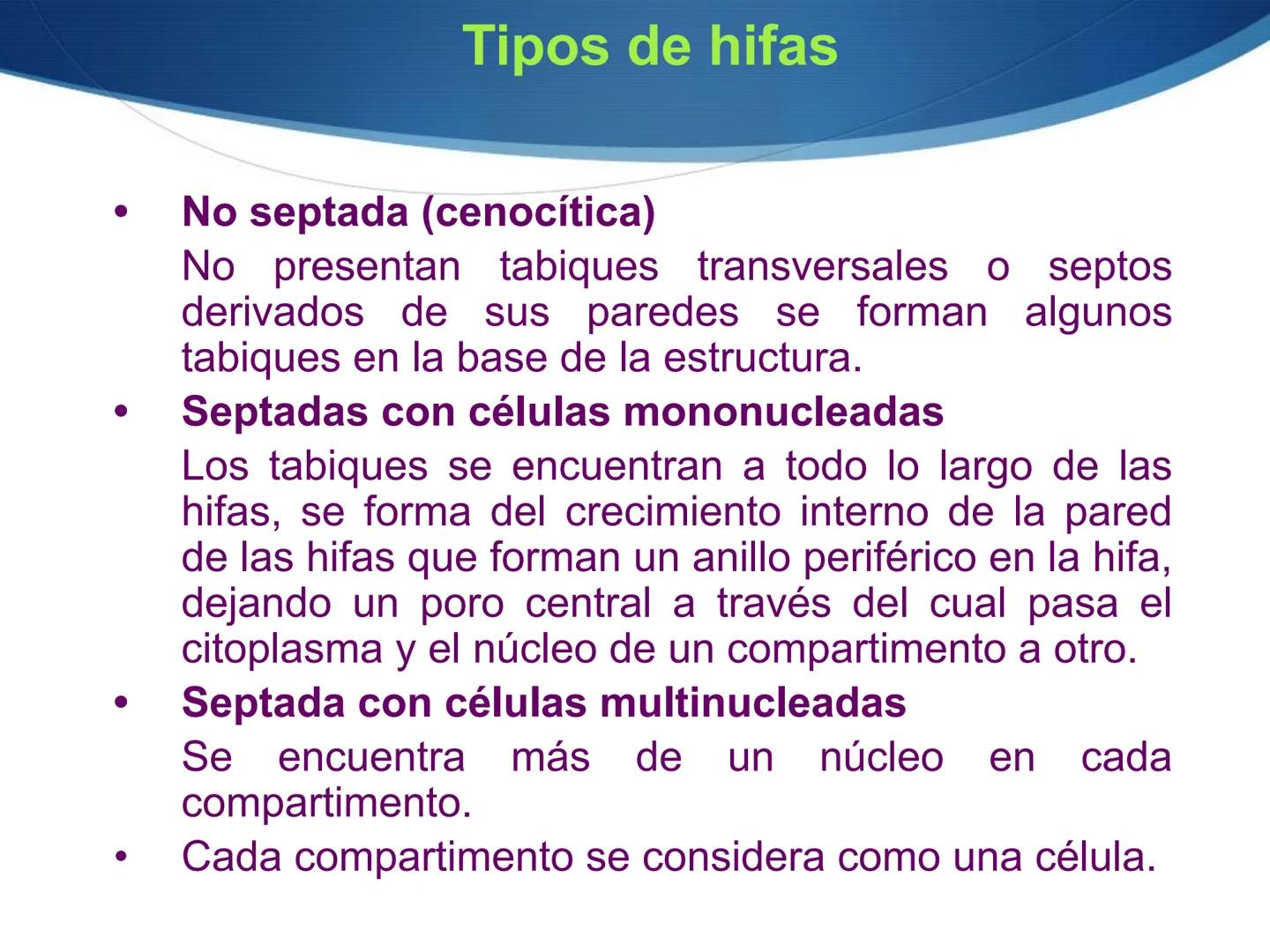 HONGOS
GENERALIDADES DE LOS HONGOS.
MORFOLOGÍA DE LOS HONGOS.
CLASIFICACIÓN DE LOS HONGOS.
NUTRICIÓN Y FISIOLOGÍA DE LOS HONGOS.
REPRODUCCIÓ