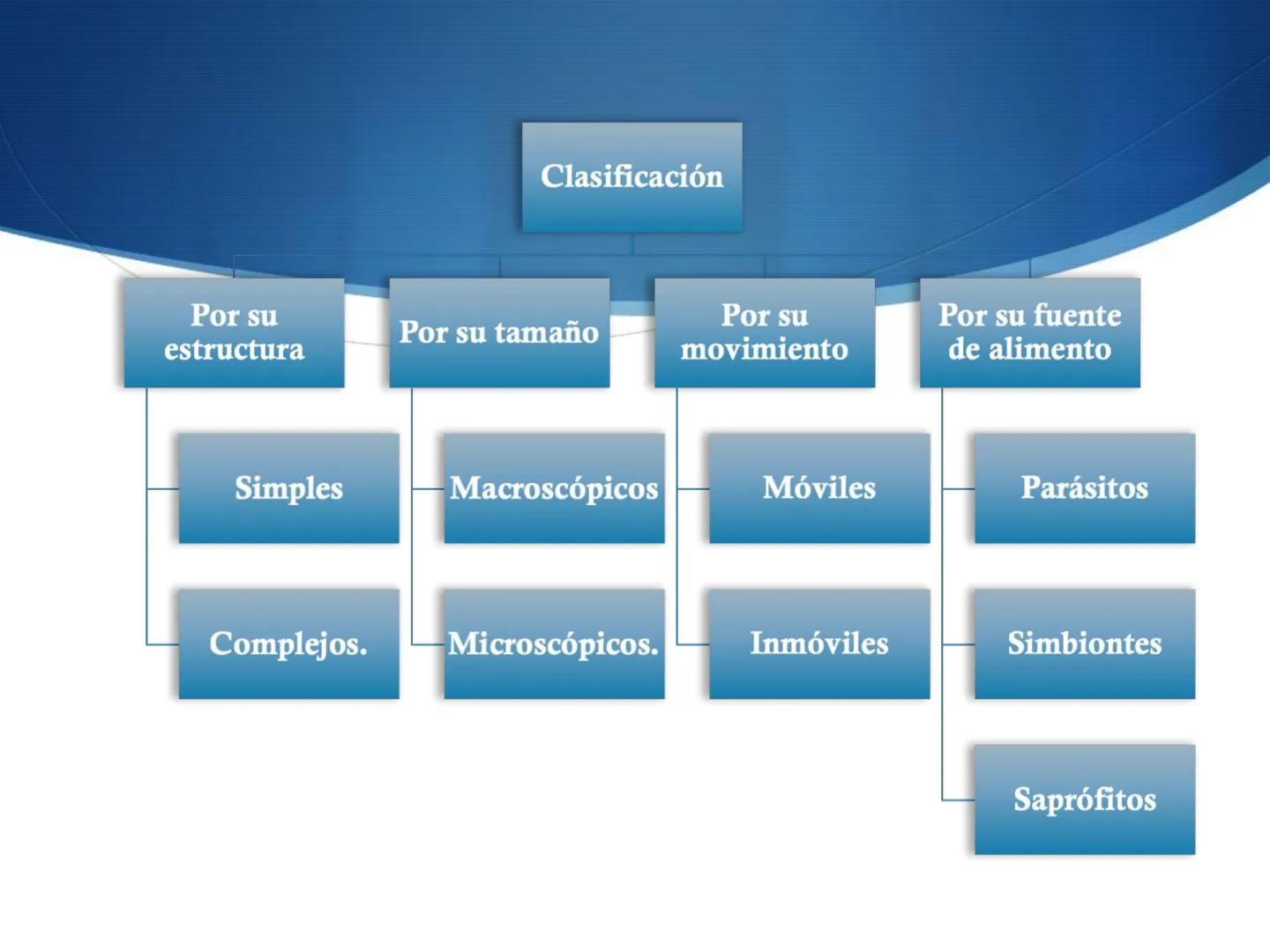 HONGOS
GENERALIDADES DE LOS HONGOS.
MORFOLOGÍA DE LOS HONGOS.
CLASIFICACIÓN DE LOS HONGOS.
NUTRICIÓN Y FISIOLOGÍA DE LOS HONGOS.
REPRODUCCIÓ