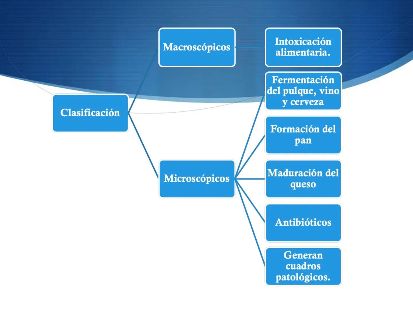 HONGOS
GENERALIDADES DE LOS HONGOS.
MORFOLOGÍA DE LOS HONGOS.
CLASIFICACIÓN DE LOS HONGOS.
NUTRICIÓN Y FISIOLOGÍA DE LOS HONGOS.
REPRODUCCIÓ