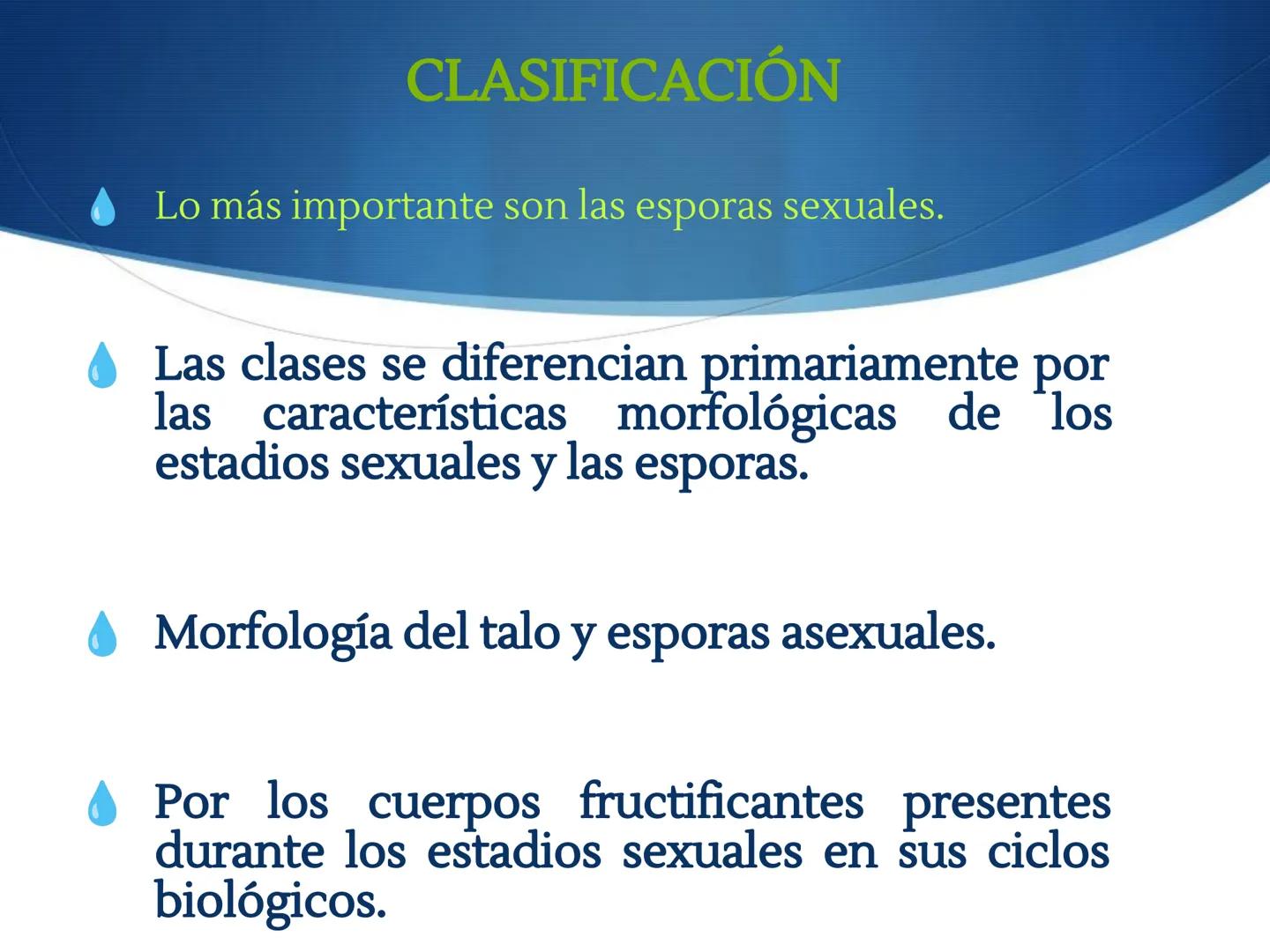 HONGOS
GENERALIDADES DE LOS HONGOS.
MORFOLOGÍA DE LOS HONGOS.
CLASIFICACIÓN DE LOS HONGOS.
NUTRICIÓN Y FISIOLOGÍA DE LOS HONGOS.
REPRODUCCIÓ