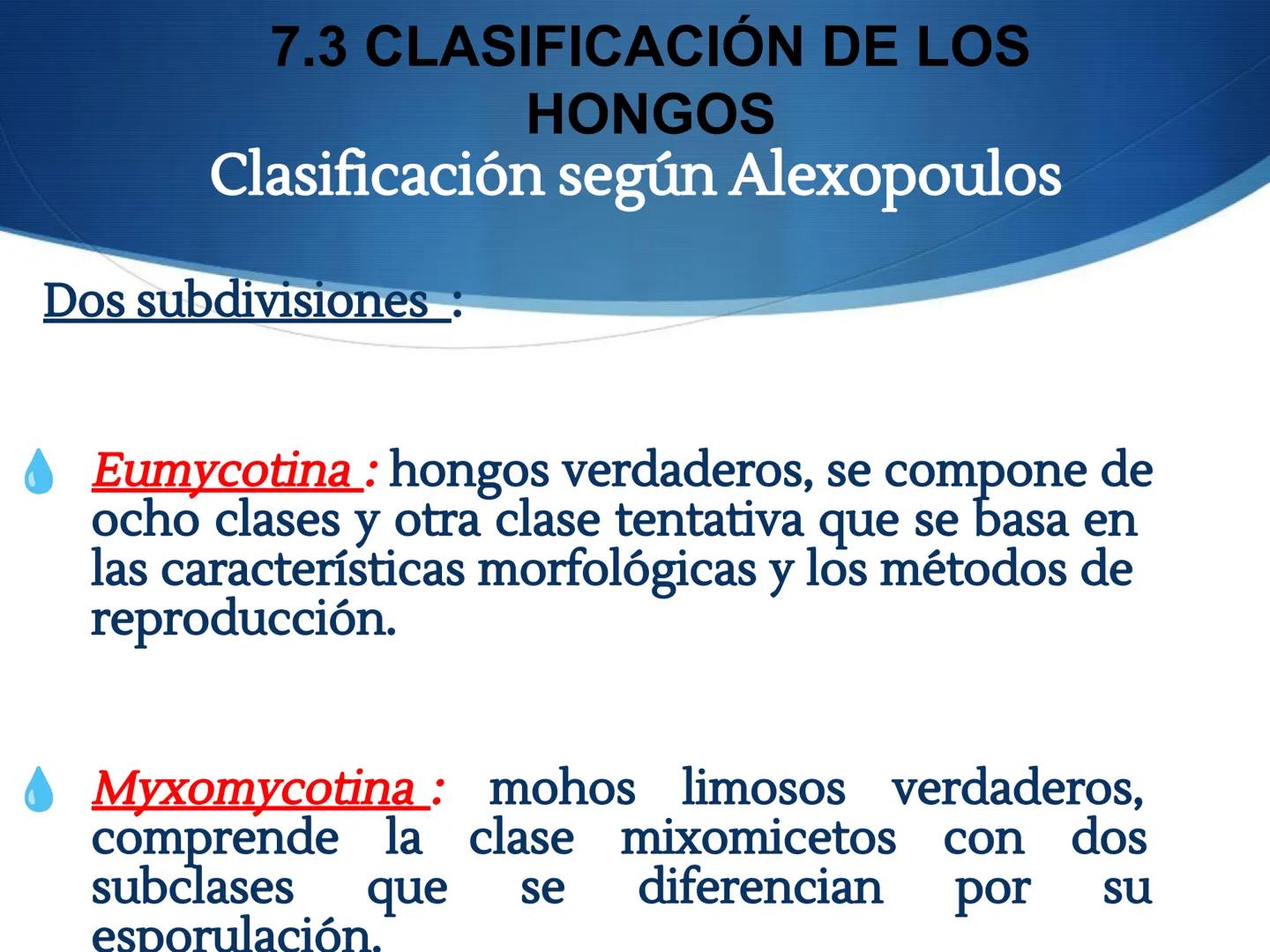 HONGOS
GENERALIDADES DE LOS HONGOS.
MORFOLOGÍA DE LOS HONGOS.
CLASIFICACIÓN DE LOS HONGOS.
NUTRICIÓN Y FISIOLOGÍA DE LOS HONGOS.
REPRODUCCIÓ