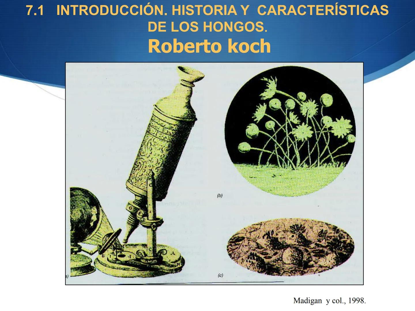 HONGOS
GENERALIDADES DE LOS HONGOS.
MORFOLOGÍA DE LOS HONGOS.
CLASIFICACIÓN DE LOS HONGOS.
NUTRICIÓN Y FISIOLOGÍA DE LOS HONGOS.
REPRODUCCIÓ