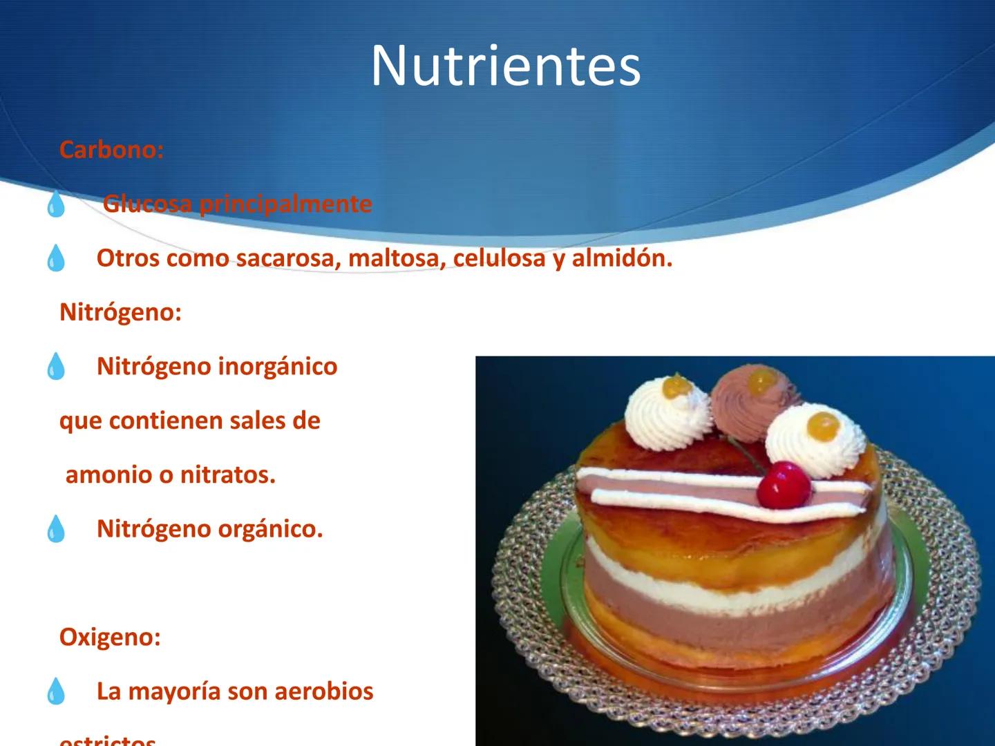 HONGOS
GENERALIDADES DE LOS HONGOS.
MORFOLOGÍA DE LOS HONGOS.
CLASIFICACIÓN DE LOS HONGOS.
NUTRICIÓN Y FISIOLOGÍA DE LOS HONGOS.
REPRODUCCIÓ