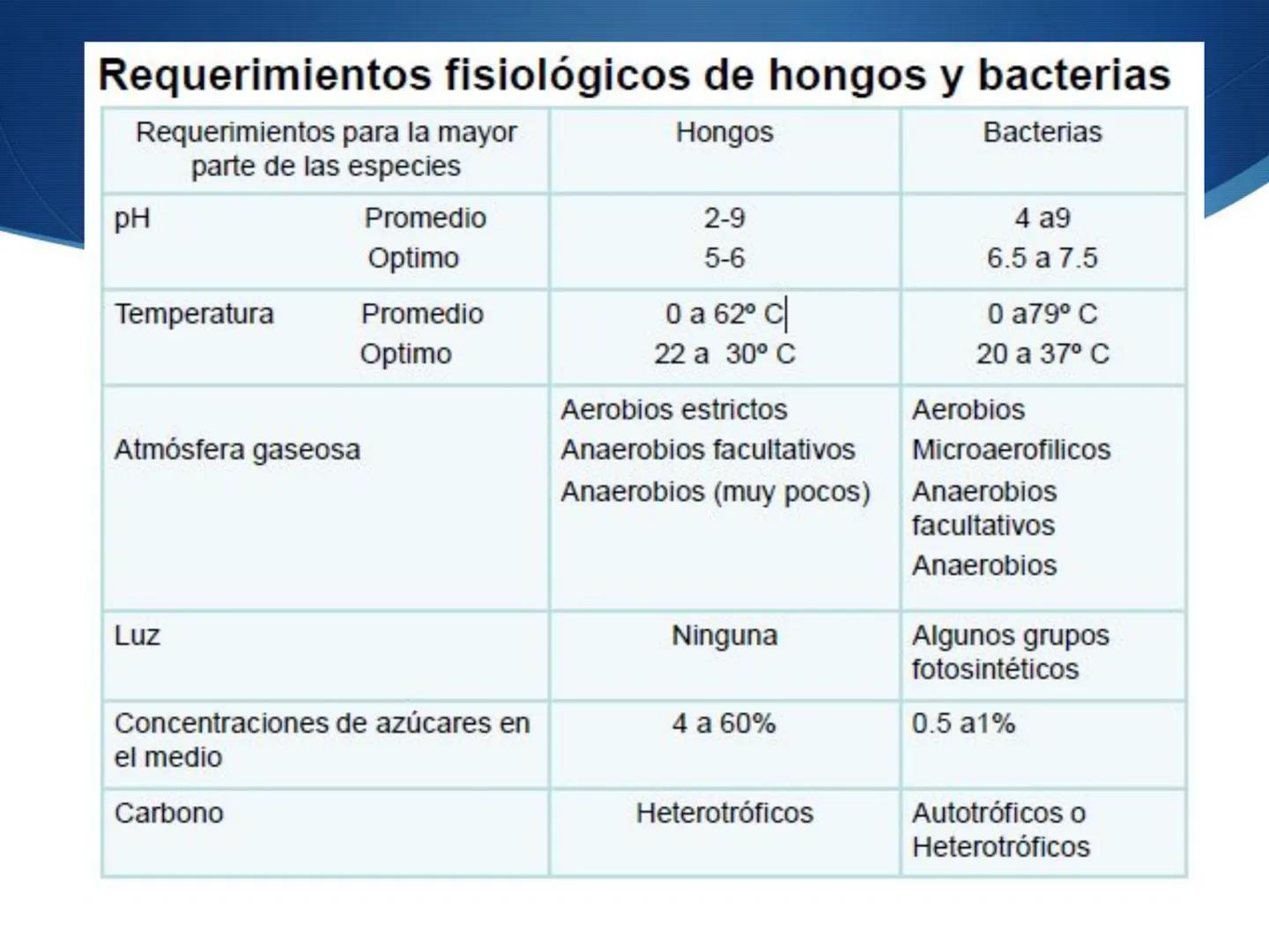 HONGOS
GENERALIDADES DE LOS HONGOS.
MORFOLOGÍA DE LOS HONGOS.
CLASIFICACIÓN DE LOS HONGOS.
NUTRICIÓN Y FISIOLOGÍA DE LOS HONGOS.
REPRODUCCIÓ