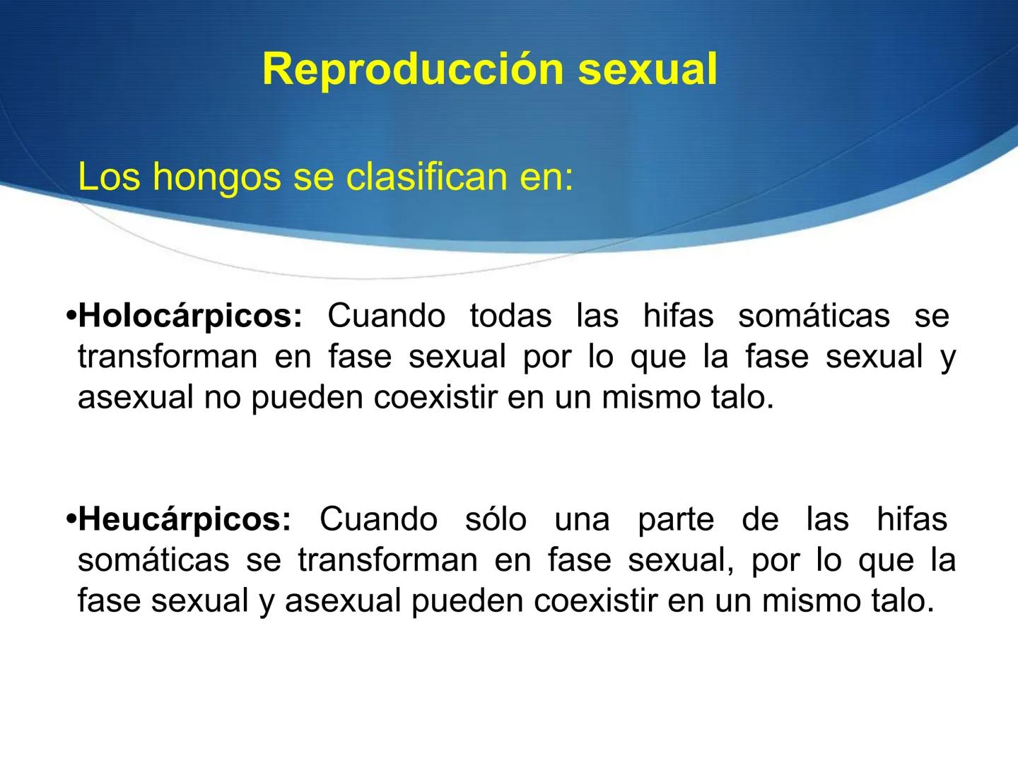 HONGOS
GENERALIDADES DE LOS HONGOS.
MORFOLOGÍA DE LOS HONGOS.
CLASIFICACIÓN DE LOS HONGOS.
NUTRICIÓN Y FISIOLOGÍA DE LOS HONGOS.
REPRODUCCIÓ