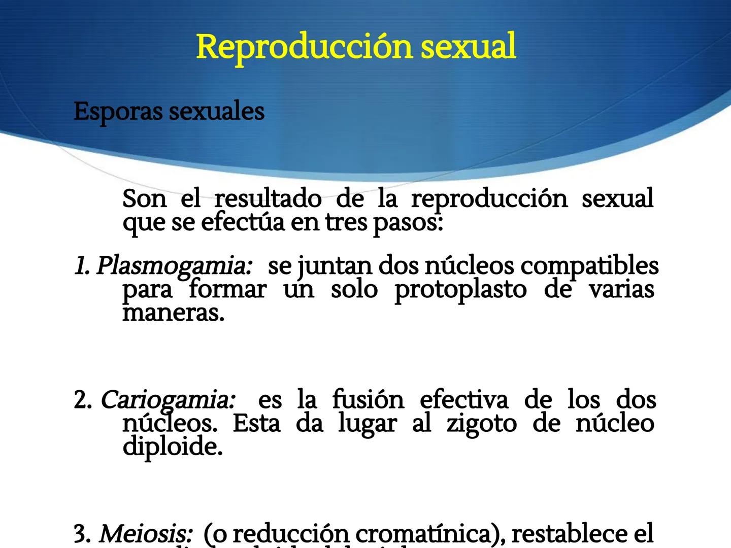 HONGOS
GENERALIDADES DE LOS HONGOS.
MORFOLOGÍA DE LOS HONGOS.
CLASIFICACIÓN DE LOS HONGOS.
NUTRICIÓN Y FISIOLOGÍA DE LOS HONGOS.
REPRODUCCIÓ