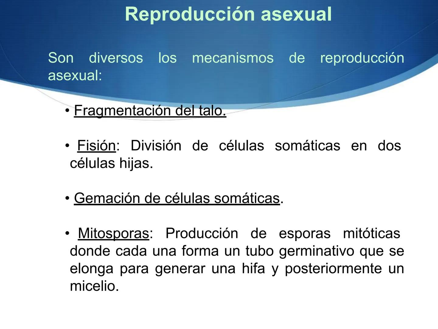 HONGOS
GENERALIDADES DE LOS HONGOS.
MORFOLOGÍA DE LOS HONGOS.
CLASIFICACIÓN DE LOS HONGOS.
NUTRICIÓN Y FISIOLOGÍA DE LOS HONGOS.
REPRODUCCIÓ