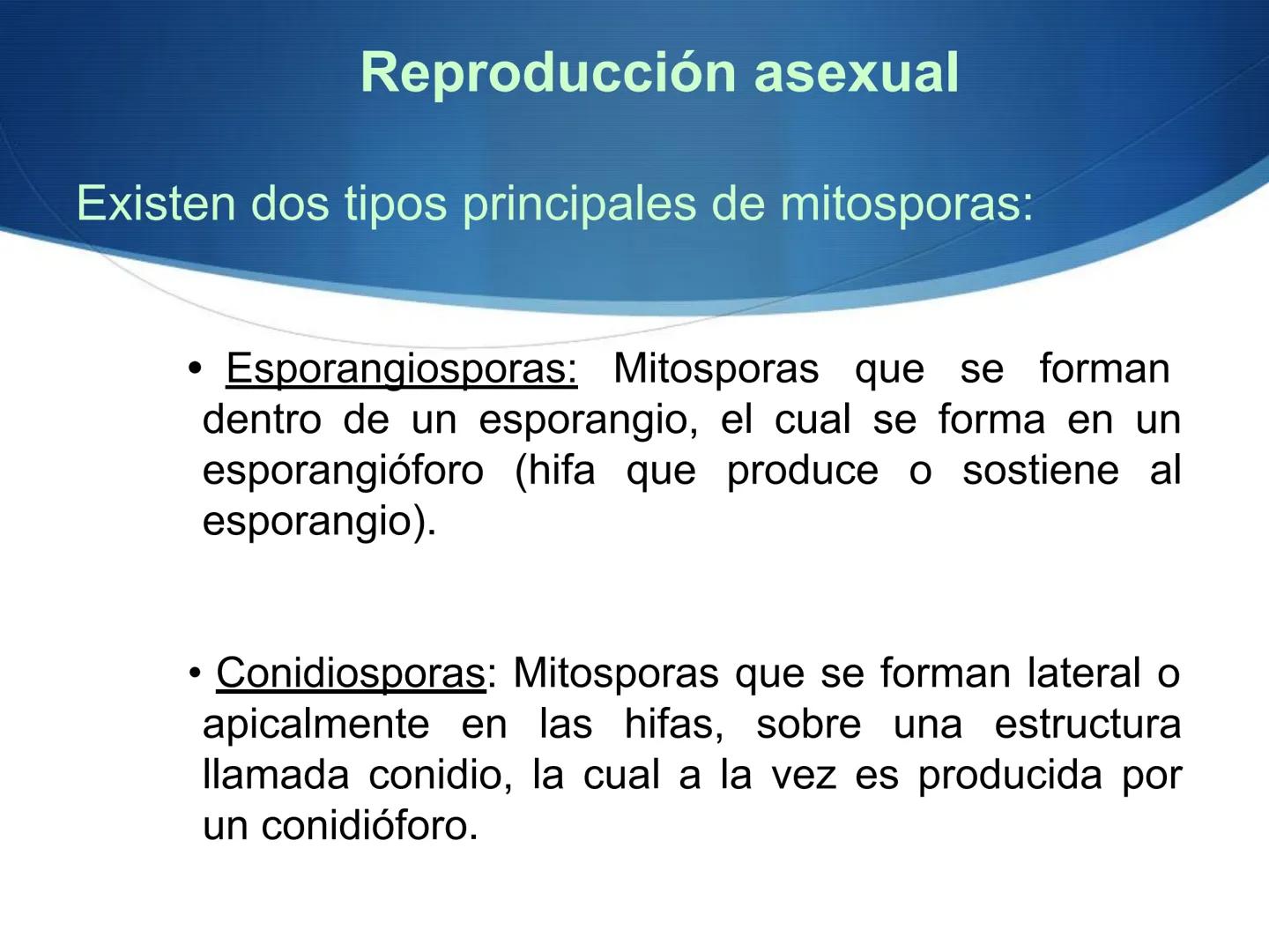HONGOS
GENERALIDADES DE LOS HONGOS.
MORFOLOGÍA DE LOS HONGOS.
CLASIFICACIÓN DE LOS HONGOS.
NUTRICIÓN Y FISIOLOGÍA DE LOS HONGOS.
REPRODUCCIÓ