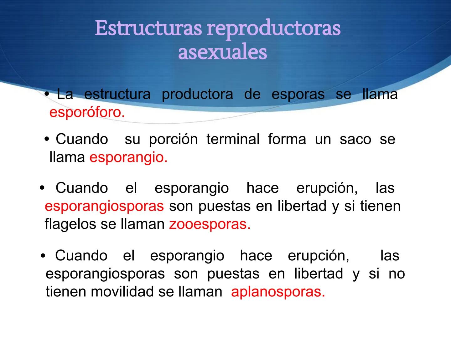 HONGOS
GENERALIDADES DE LOS HONGOS.
MORFOLOGÍA DE LOS HONGOS.
CLASIFICACIÓN DE LOS HONGOS.
NUTRICIÓN Y FISIOLOGÍA DE LOS HONGOS.
REPRODUCCIÓ