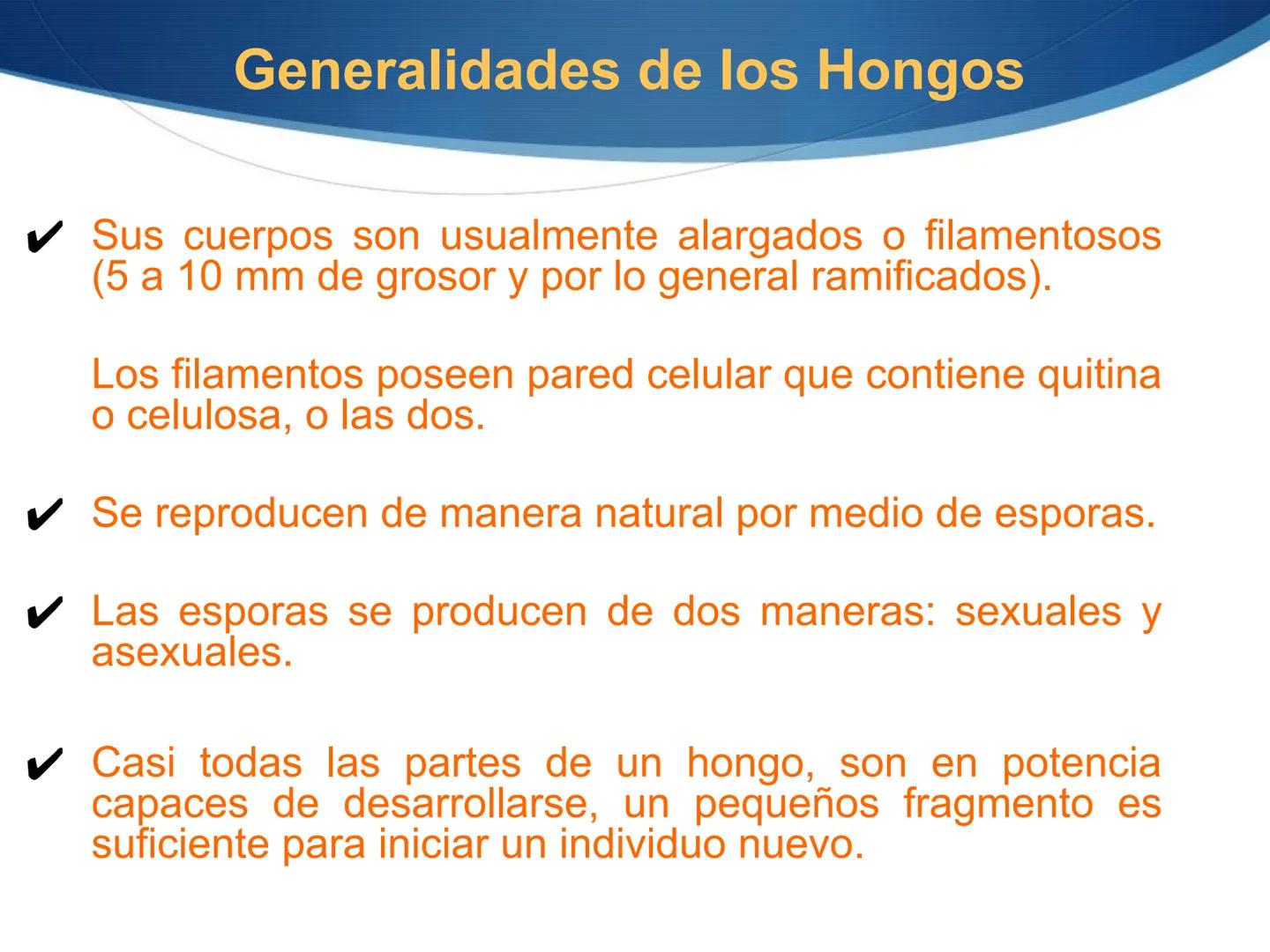 HONGOS
GENERALIDADES DE LOS HONGOS.
MORFOLOGÍA DE LOS HONGOS.
CLASIFICACIÓN DE LOS HONGOS.
NUTRICIÓN Y FISIOLOGÍA DE LOS HONGOS.
REPRODUCCIÓ