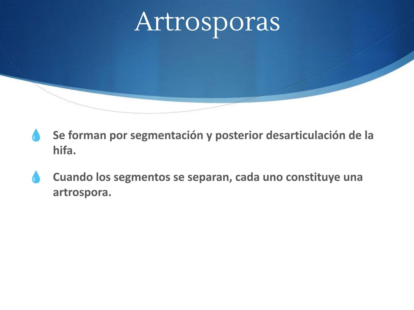 HONGOS
GENERALIDADES DE LOS HONGOS.
MORFOLOGÍA DE LOS HONGOS.
CLASIFICACIÓN DE LOS HONGOS.
NUTRICIÓN Y FISIOLOGÍA DE LOS HONGOS.
REPRODUCCIÓ