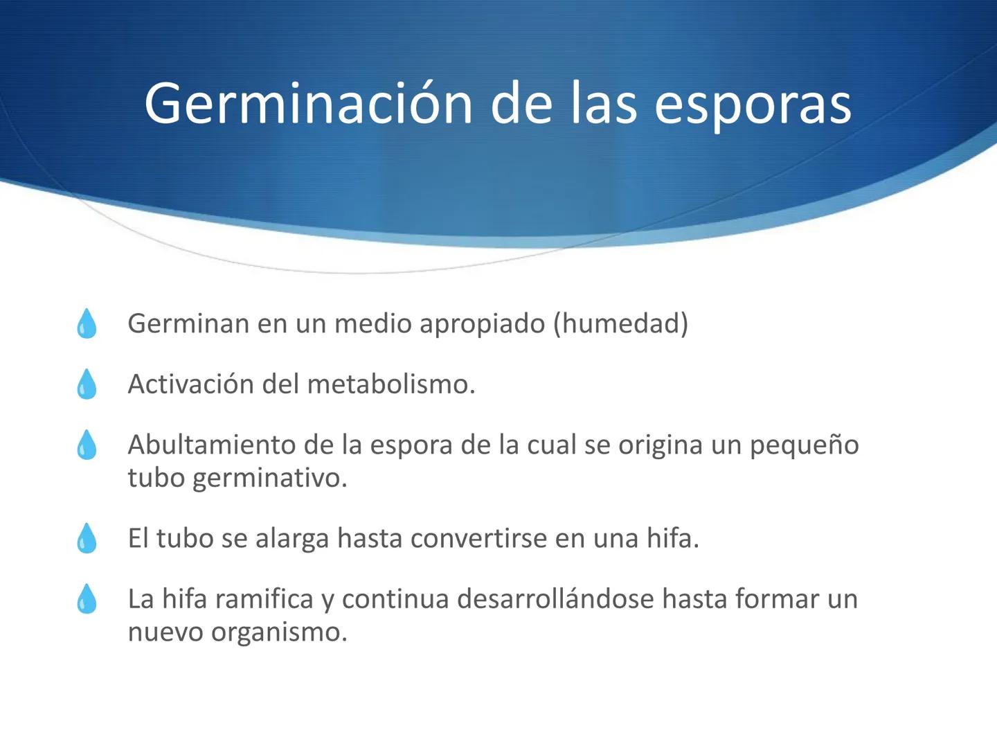 HONGOS
GENERALIDADES DE LOS HONGOS.
MORFOLOGÍA DE LOS HONGOS.
CLASIFICACIÓN DE LOS HONGOS.
NUTRICIÓN Y FISIOLOGÍA DE LOS HONGOS.
REPRODUCCIÓ