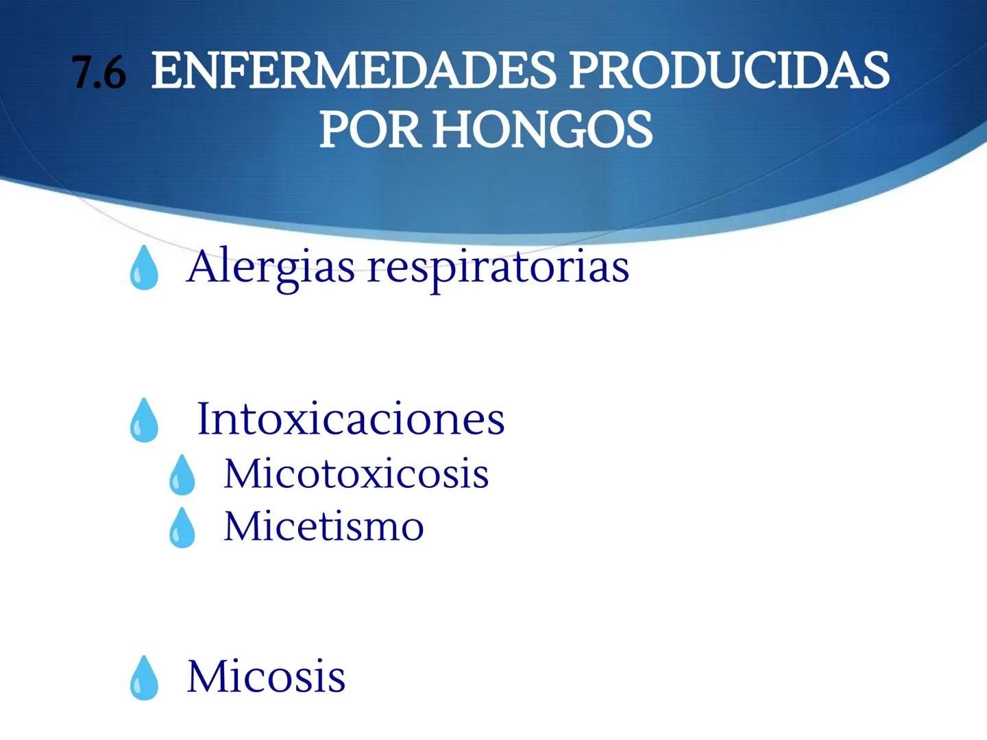 HONGOS
GENERALIDADES DE LOS HONGOS.
MORFOLOGÍA DE LOS HONGOS.
CLASIFICACIÓN DE LOS HONGOS.
NUTRICIÓN Y FISIOLOGÍA DE LOS HONGOS.
REPRODUCCIÓ