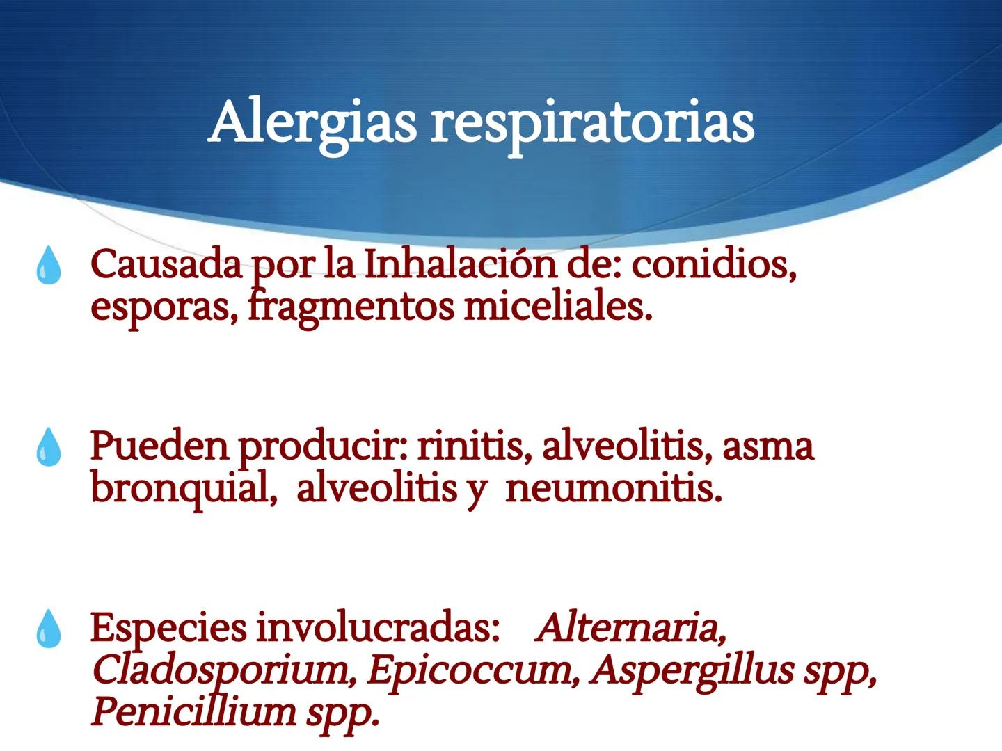HONGOS
GENERALIDADES DE LOS HONGOS.
MORFOLOGÍA DE LOS HONGOS.
CLASIFICACIÓN DE LOS HONGOS.
NUTRICIÓN Y FISIOLOGÍA DE LOS HONGOS.
REPRODUCCIÓ