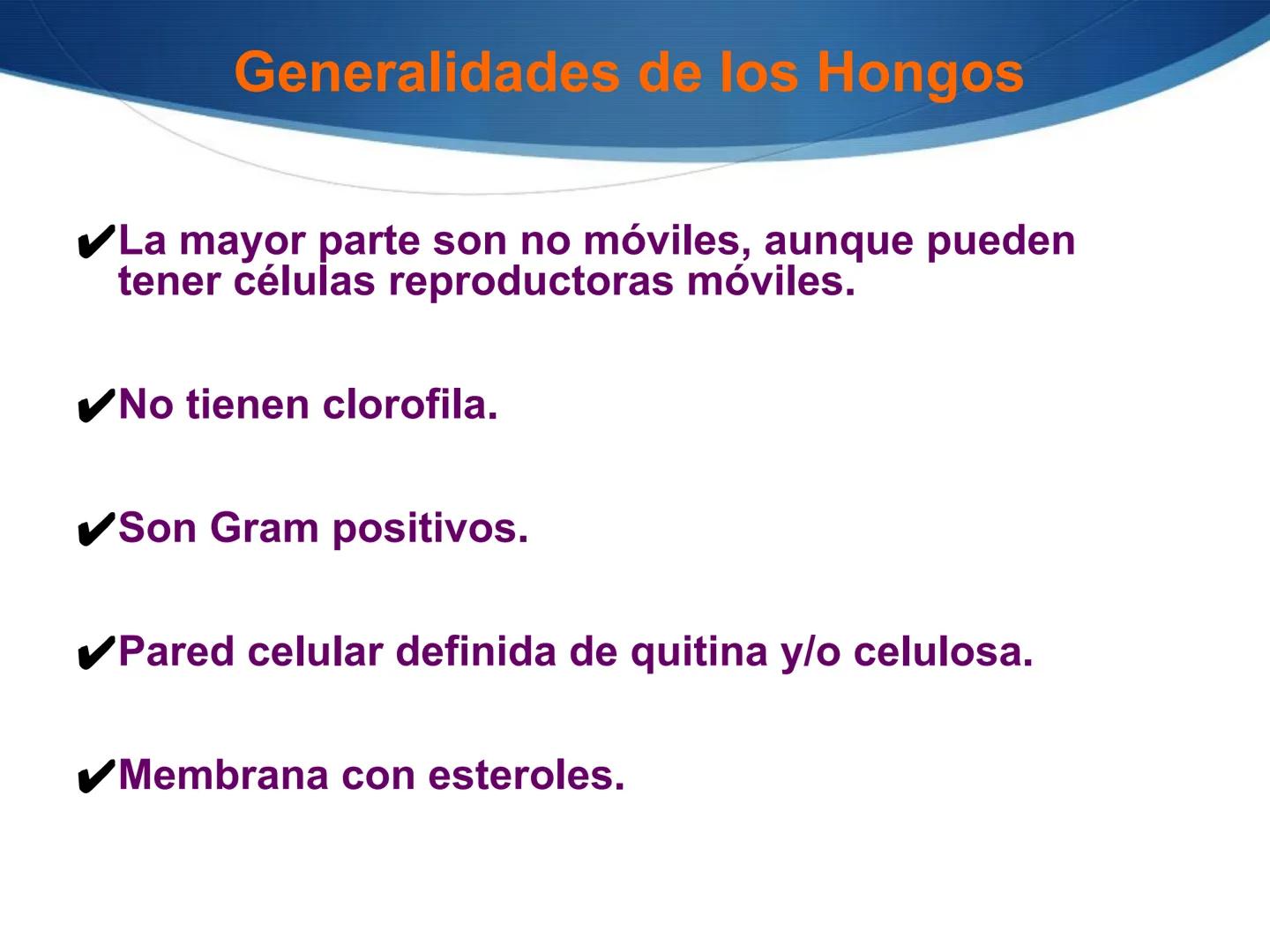 HONGOS
GENERALIDADES DE LOS HONGOS.
MORFOLOGÍA DE LOS HONGOS.
CLASIFICACIÓN DE LOS HONGOS.
NUTRICIÓN Y FISIOLOGÍA DE LOS HONGOS.
REPRODUCCIÓ