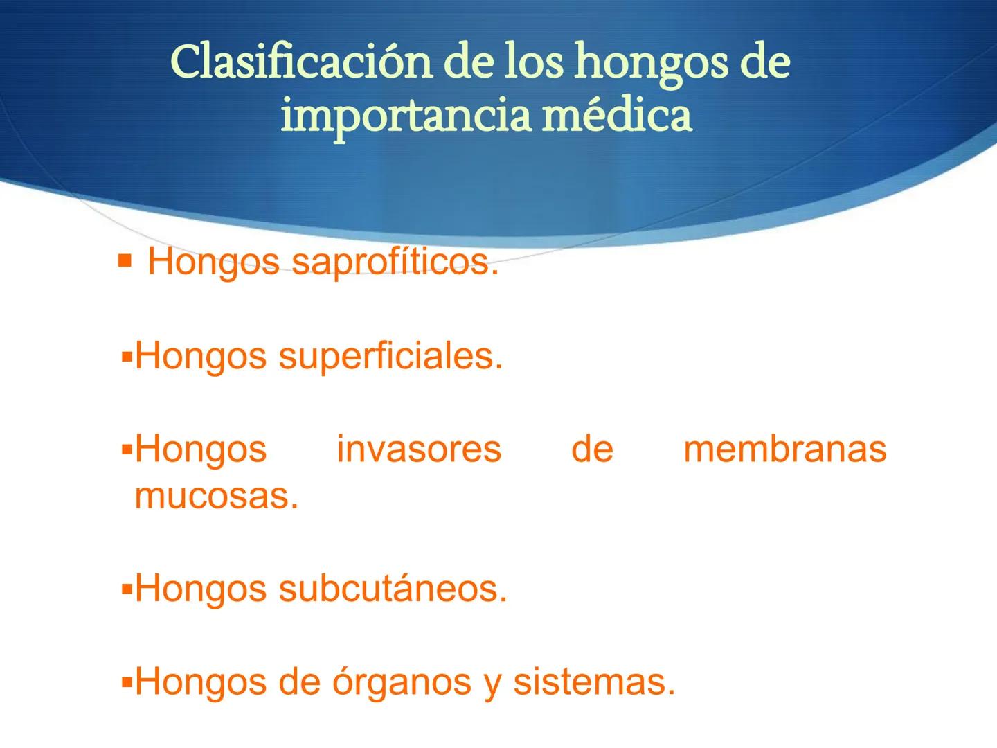 HONGOS
GENERALIDADES DE LOS HONGOS.
MORFOLOGÍA DE LOS HONGOS.
CLASIFICACIÓN DE LOS HONGOS.
NUTRICIÓN Y FISIOLOGÍA DE LOS HONGOS.
REPRODUCCIÓ