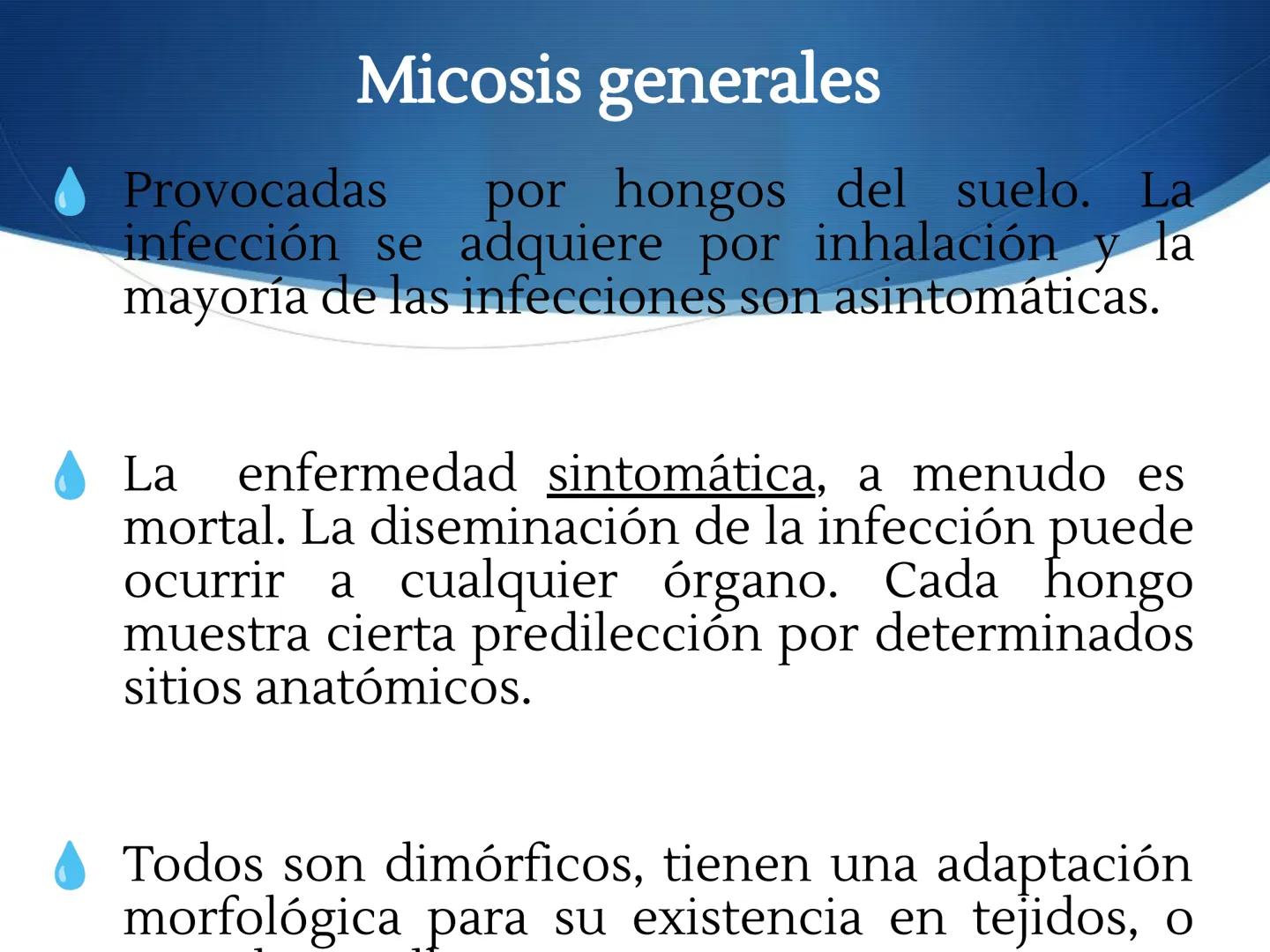 HONGOS
GENERALIDADES DE LOS HONGOS.
MORFOLOGÍA DE LOS HONGOS.
CLASIFICACIÓN DE LOS HONGOS.
NUTRICIÓN Y FISIOLOGÍA DE LOS HONGOS.
REPRODUCCIÓ