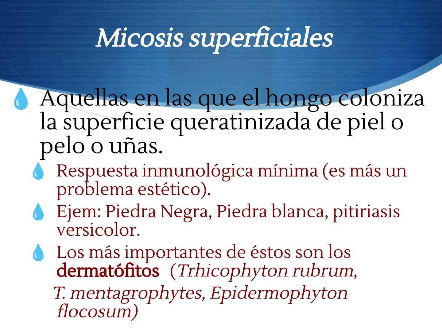 HONGOS
GENERALIDADES DE LOS HONGOS.
MORFOLOGÍA DE LOS HONGOS.
CLASIFICACIÓN DE LOS HONGOS.
NUTRICIÓN Y FISIOLOGÍA DE LOS HONGOS.
REPRODUCCIÓ