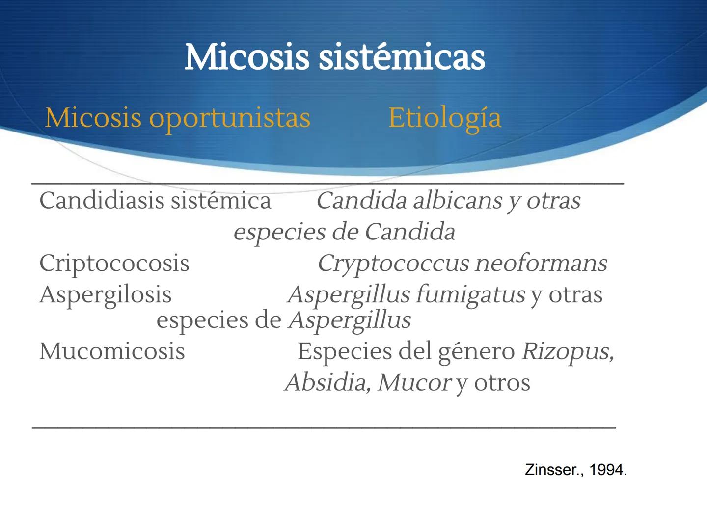 HONGOS
GENERALIDADES DE LOS HONGOS.
MORFOLOGÍA DE LOS HONGOS.
CLASIFICACIÓN DE LOS HONGOS.
NUTRICIÓN Y FISIOLOGÍA DE LOS HONGOS.
REPRODUCCIÓ