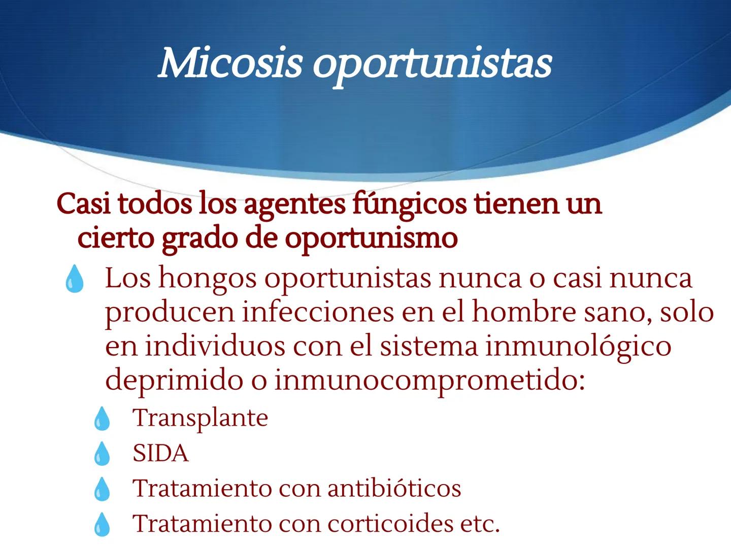 HONGOS
GENERALIDADES DE LOS HONGOS.
MORFOLOGÍA DE LOS HONGOS.
CLASIFICACIÓN DE LOS HONGOS.
NUTRICIÓN Y FISIOLOGÍA DE LOS HONGOS.
REPRODUCCIÓ
