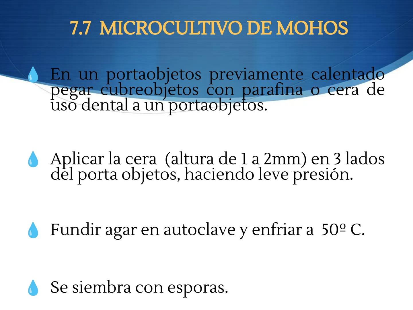 HONGOS
GENERALIDADES DE LOS HONGOS.
MORFOLOGÍA DE LOS HONGOS.
CLASIFICACIÓN DE LOS HONGOS.
NUTRICIÓN Y FISIOLOGÍA DE LOS HONGOS.
REPRODUCCIÓ