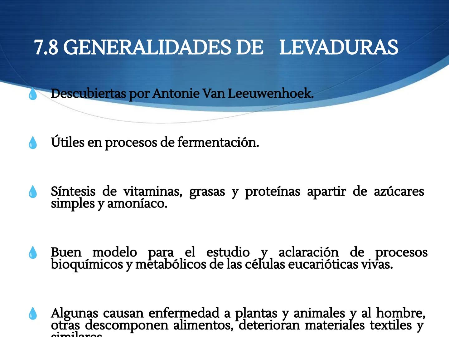 HONGOS
GENERALIDADES DE LOS HONGOS.
MORFOLOGÍA DE LOS HONGOS.
CLASIFICACIÓN DE LOS HONGOS.
NUTRICIÓN Y FISIOLOGÍA DE LOS HONGOS.
REPRODUCCIÓ