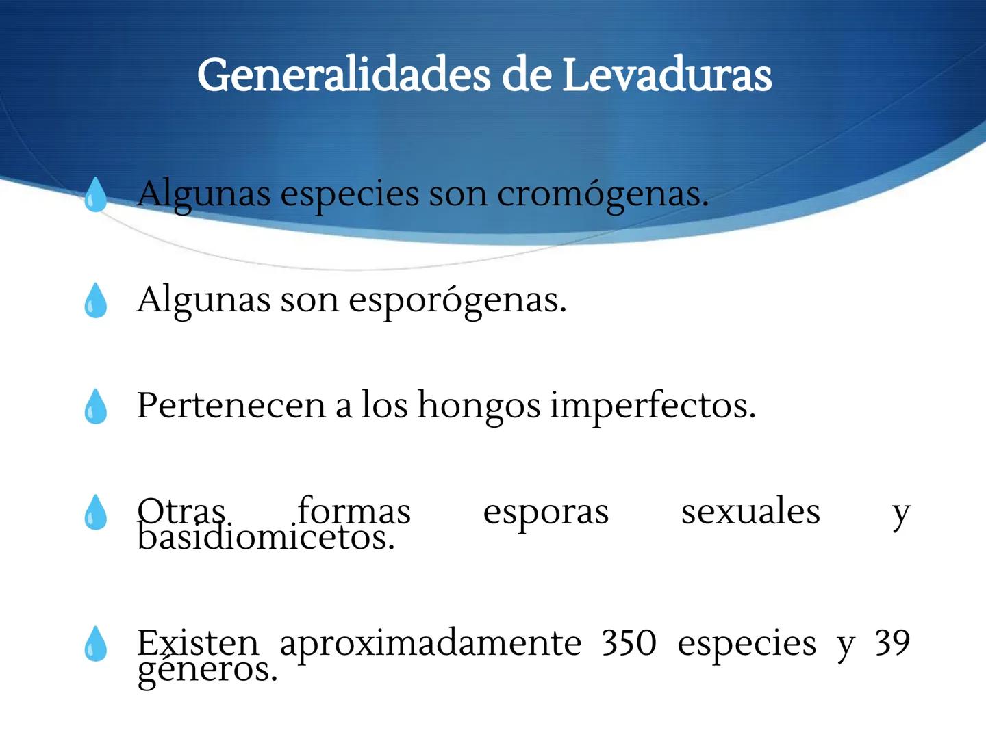 HONGOS
GENERALIDADES DE LOS HONGOS.
MORFOLOGÍA DE LOS HONGOS.
CLASIFICACIÓN DE LOS HONGOS.
NUTRICIÓN Y FISIOLOGÍA DE LOS HONGOS.
REPRODUCCIÓ