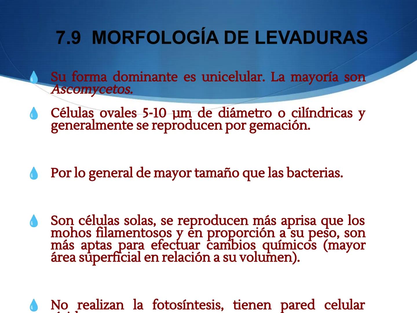 HONGOS
GENERALIDADES DE LOS HONGOS.
MORFOLOGÍA DE LOS HONGOS.
CLASIFICACIÓN DE LOS HONGOS.
NUTRICIÓN Y FISIOLOGÍA DE LOS HONGOS.
REPRODUCCIÓ