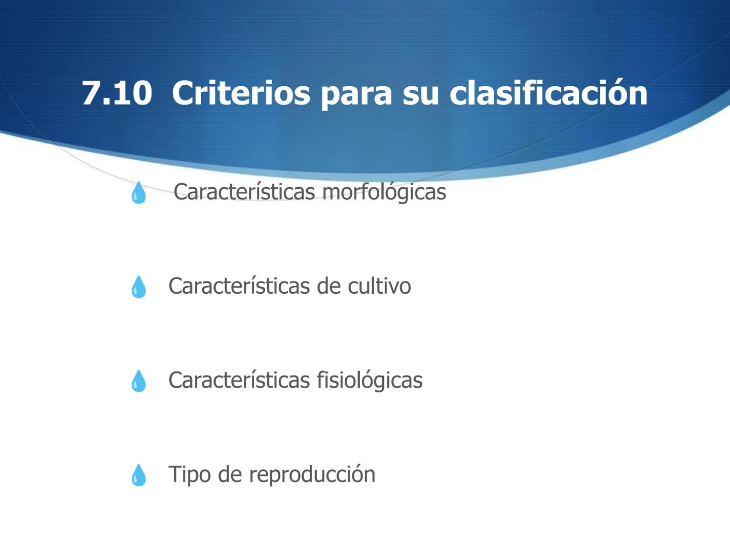 HONGOS
GENERALIDADES DE LOS HONGOS.
MORFOLOGÍA DE LOS HONGOS.
CLASIFICACIÓN DE LOS HONGOS.
NUTRICIÓN Y FISIOLOGÍA DE LOS HONGOS.
REPRODUCCIÓ
