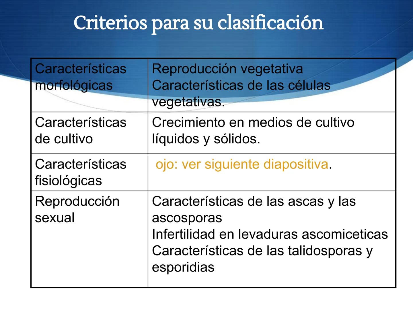 HONGOS
GENERALIDADES DE LOS HONGOS.
MORFOLOGÍA DE LOS HONGOS.
CLASIFICACIÓN DE LOS HONGOS.
NUTRICIÓN Y FISIOLOGÍA DE LOS HONGOS.
REPRODUCCIÓ