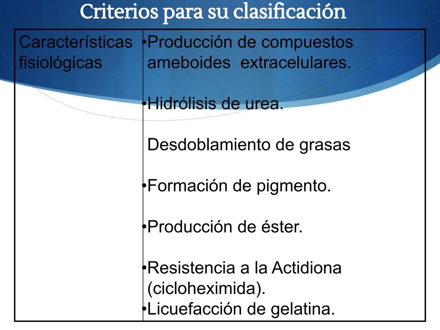 HONGOS
GENERALIDADES DE LOS HONGOS.
MORFOLOGÍA DE LOS HONGOS.
CLASIFICACIÓN DE LOS HONGOS.
NUTRICIÓN Y FISIOLOGÍA DE LOS HONGOS.
REPRODUCCIÓ