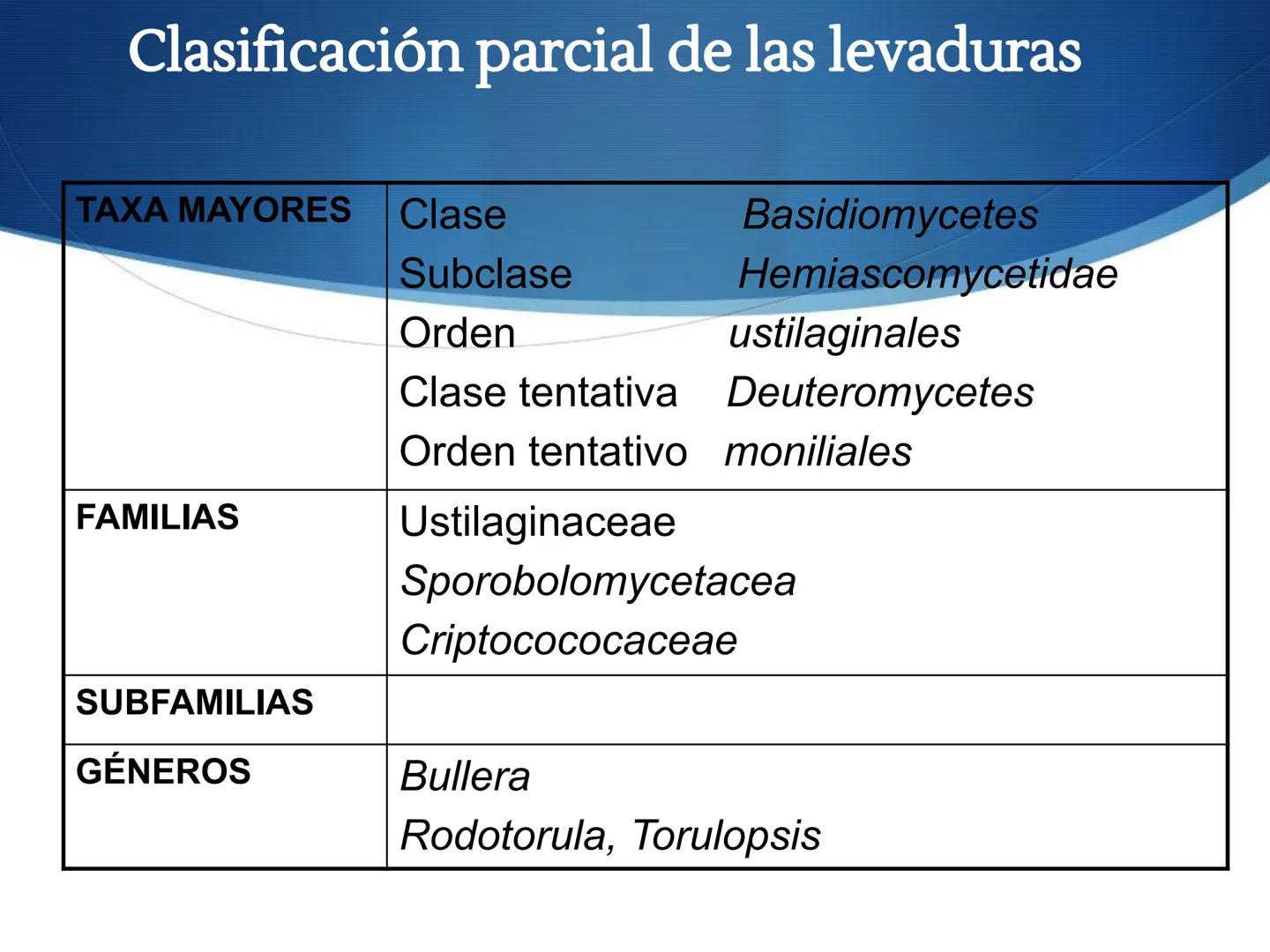 HONGOS
GENERALIDADES DE LOS HONGOS.
MORFOLOGÍA DE LOS HONGOS.
CLASIFICACIÓN DE LOS HONGOS.
NUTRICIÓN Y FISIOLOGÍA DE LOS HONGOS.
REPRODUCCIÓ